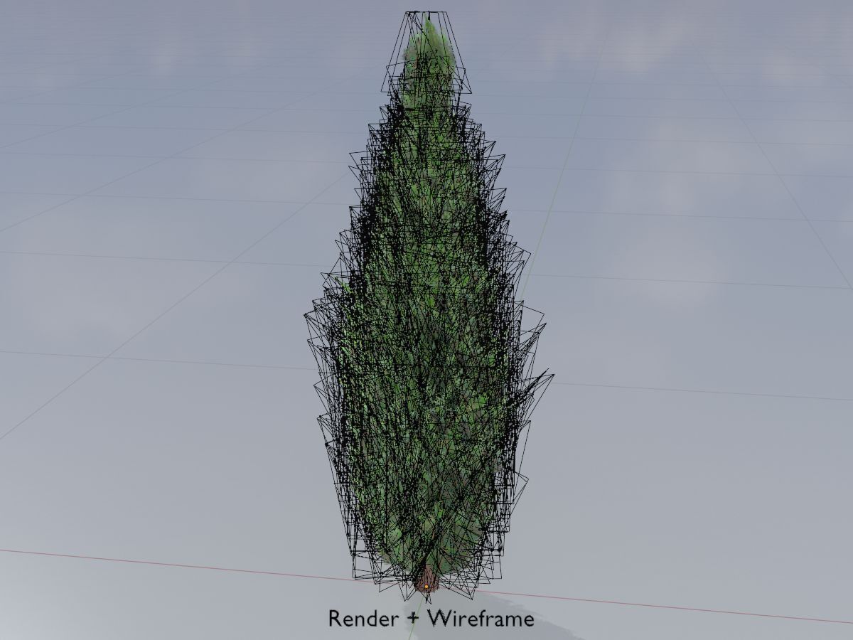 Scheinzypresse Version-1 1000mm Low-poly 3D model_5