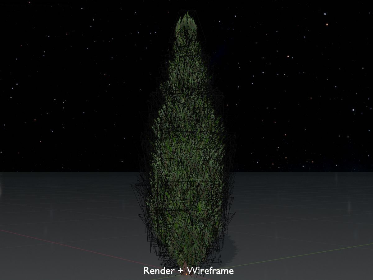 Scheinzypresse Version-1 1000mm Low-poly 3D model_7