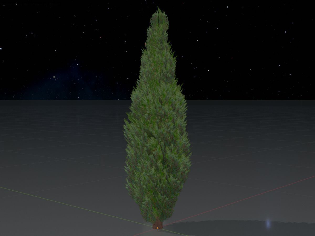 Scheinzypresse Version-1 1000mm Low-poly 3D model_4