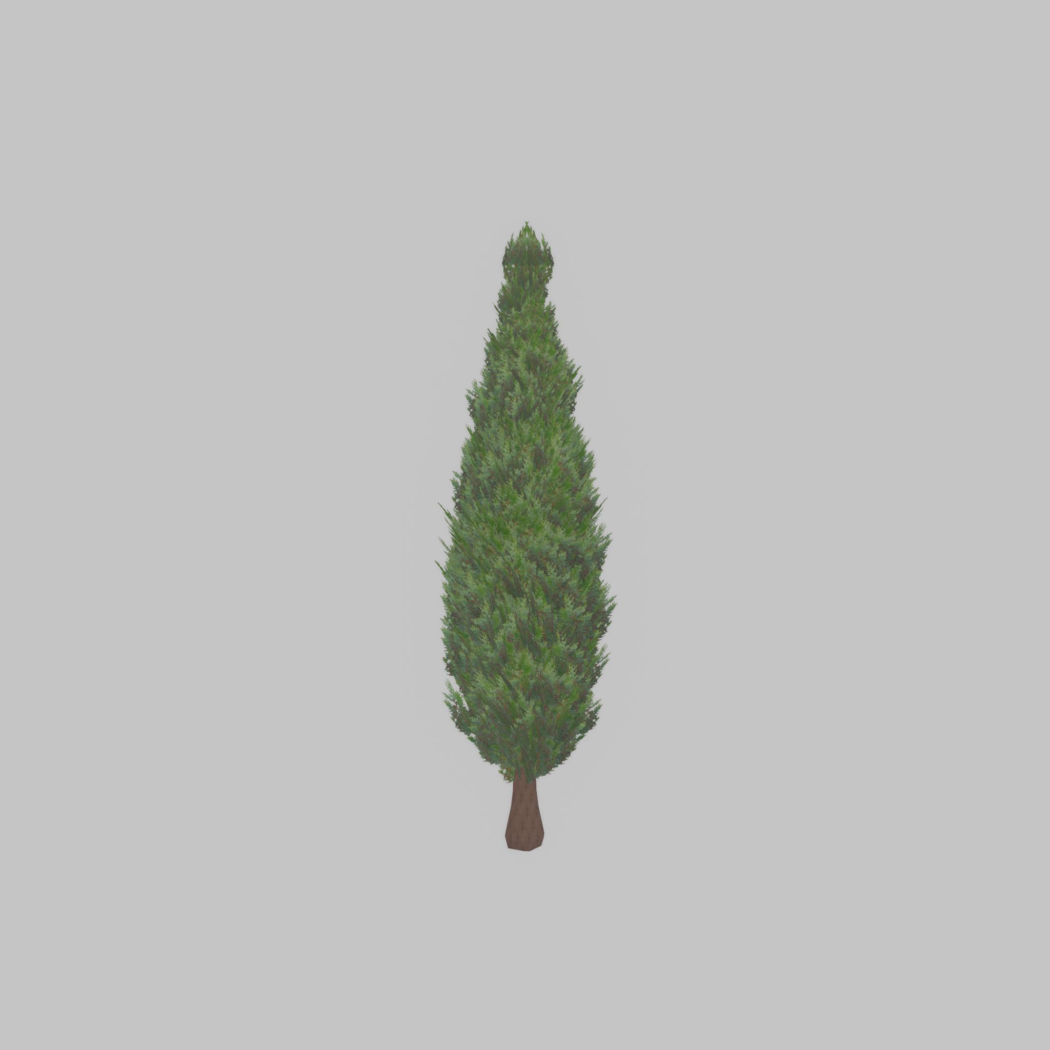 Scheinzypresse Version-1 1000mm Low-poly 3D model_38