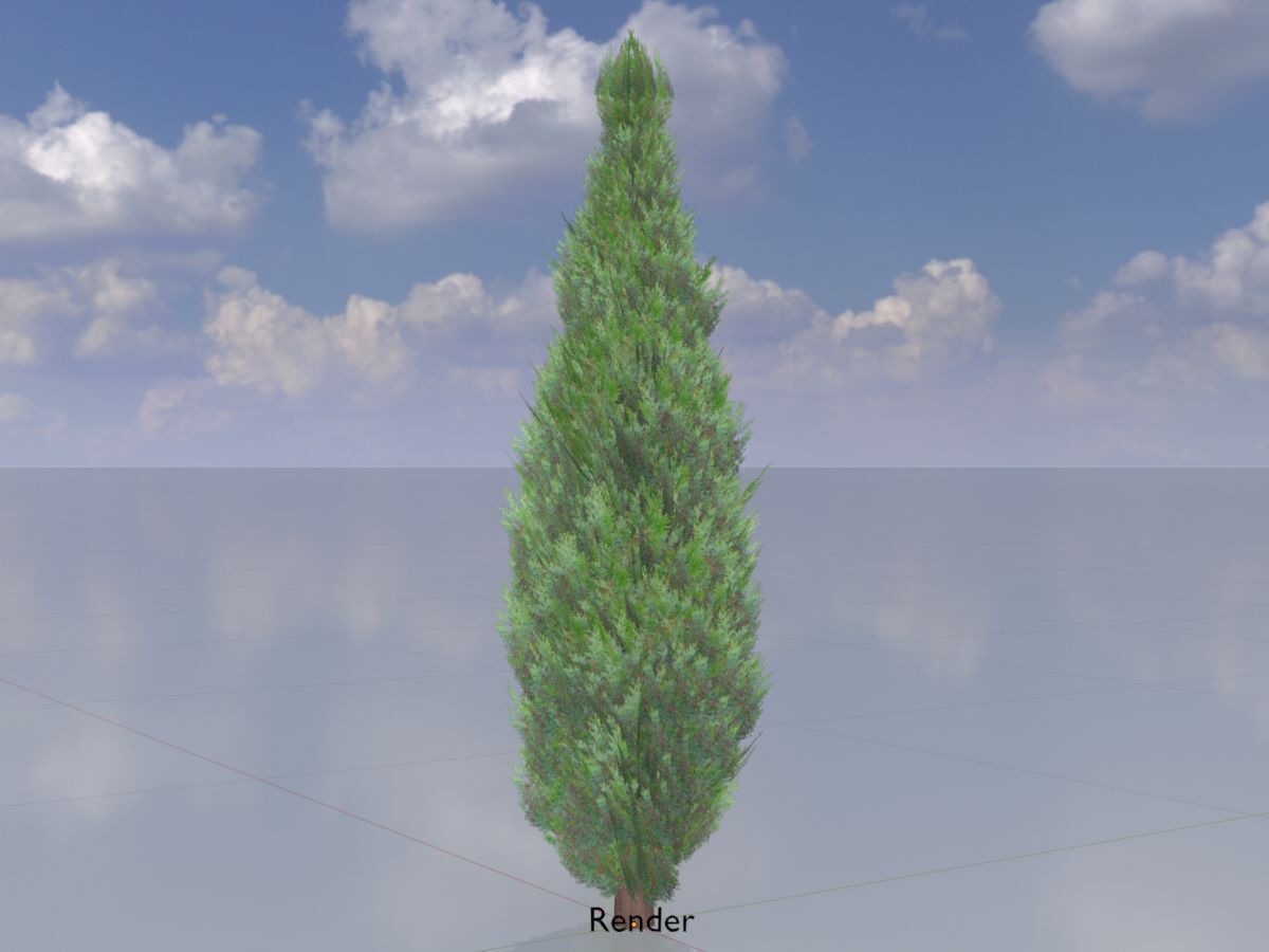 Scheinzypresse Version-1 1000mm Low-poly 3D model_13