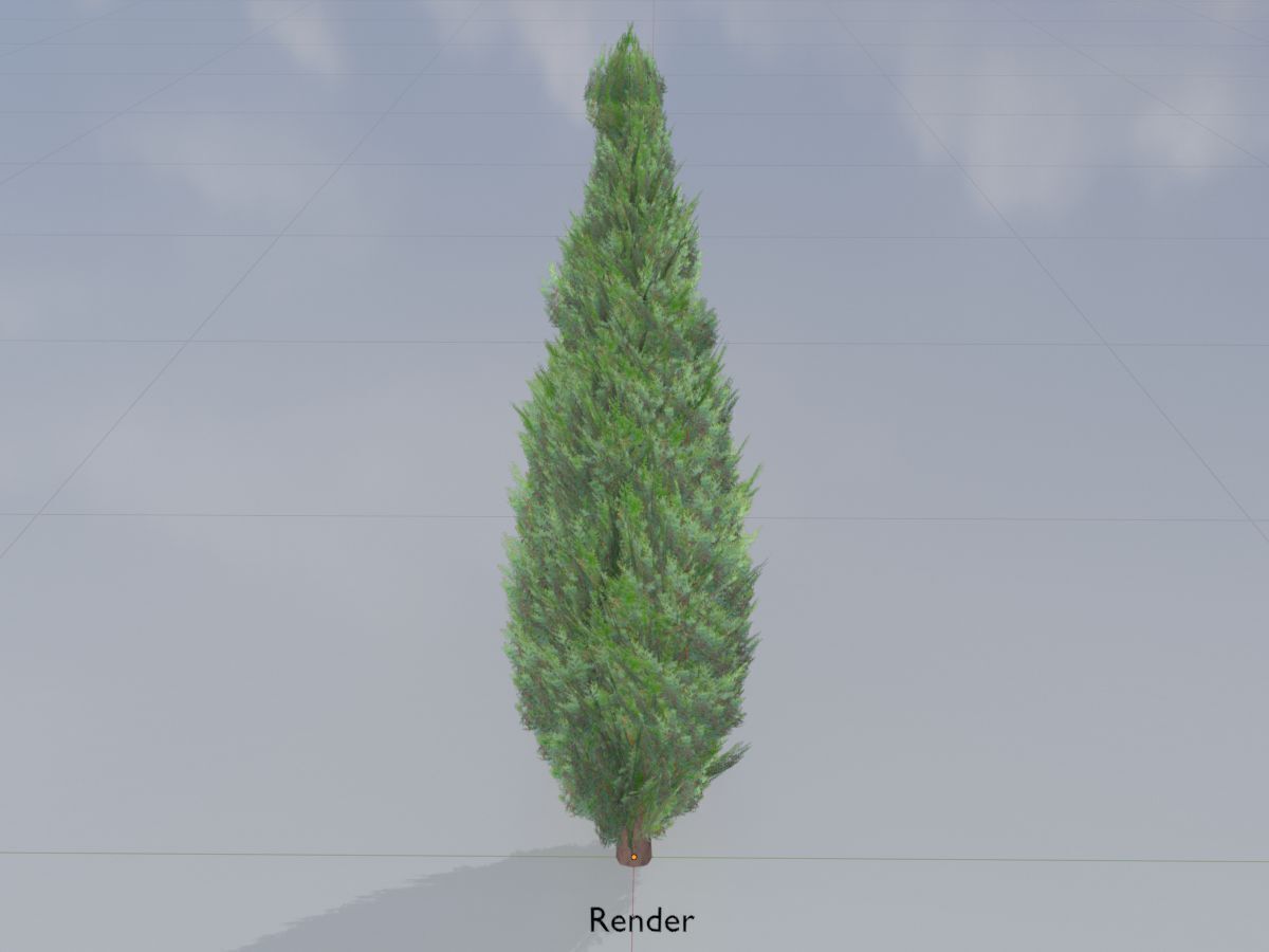 Scheinzypresse Version-1 1000mm Low-poly 3D model_14