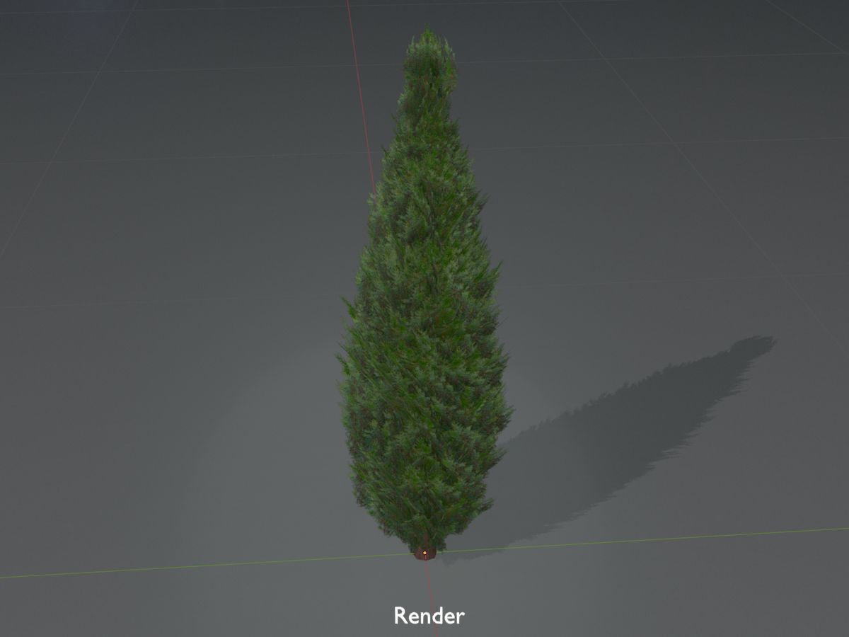 Scheinzypresse Version-1 1000mm Low-poly 3D model_16