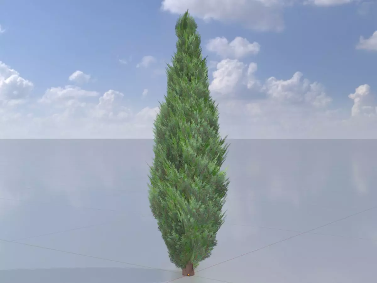 Scheinzypresse Version-1 1000mm Low-poly 3D model_0