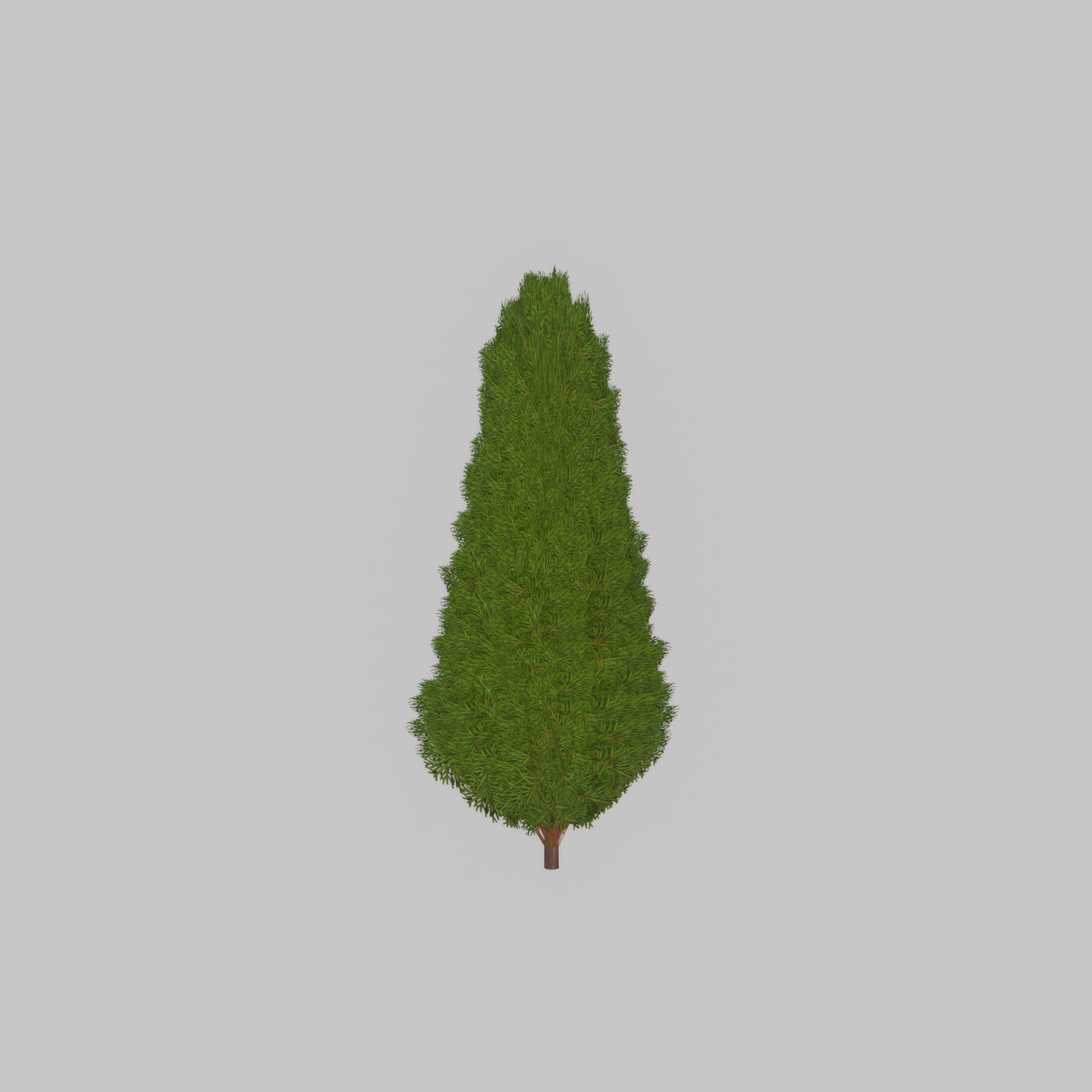 Mock cypress version-2 1000mm Low-poly 3D model_26