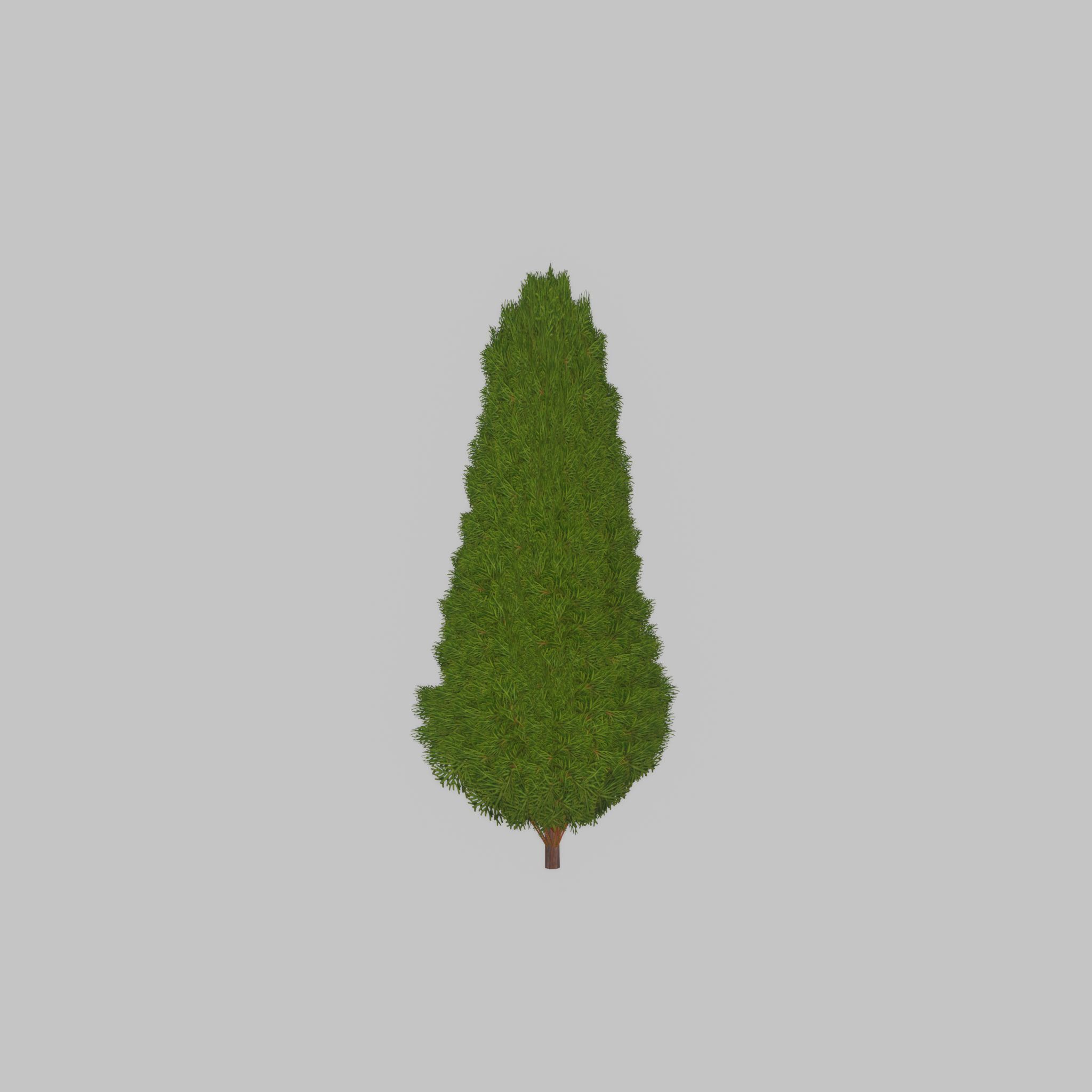 Mock cypress version-2 1000mm Low-poly 3D model_25