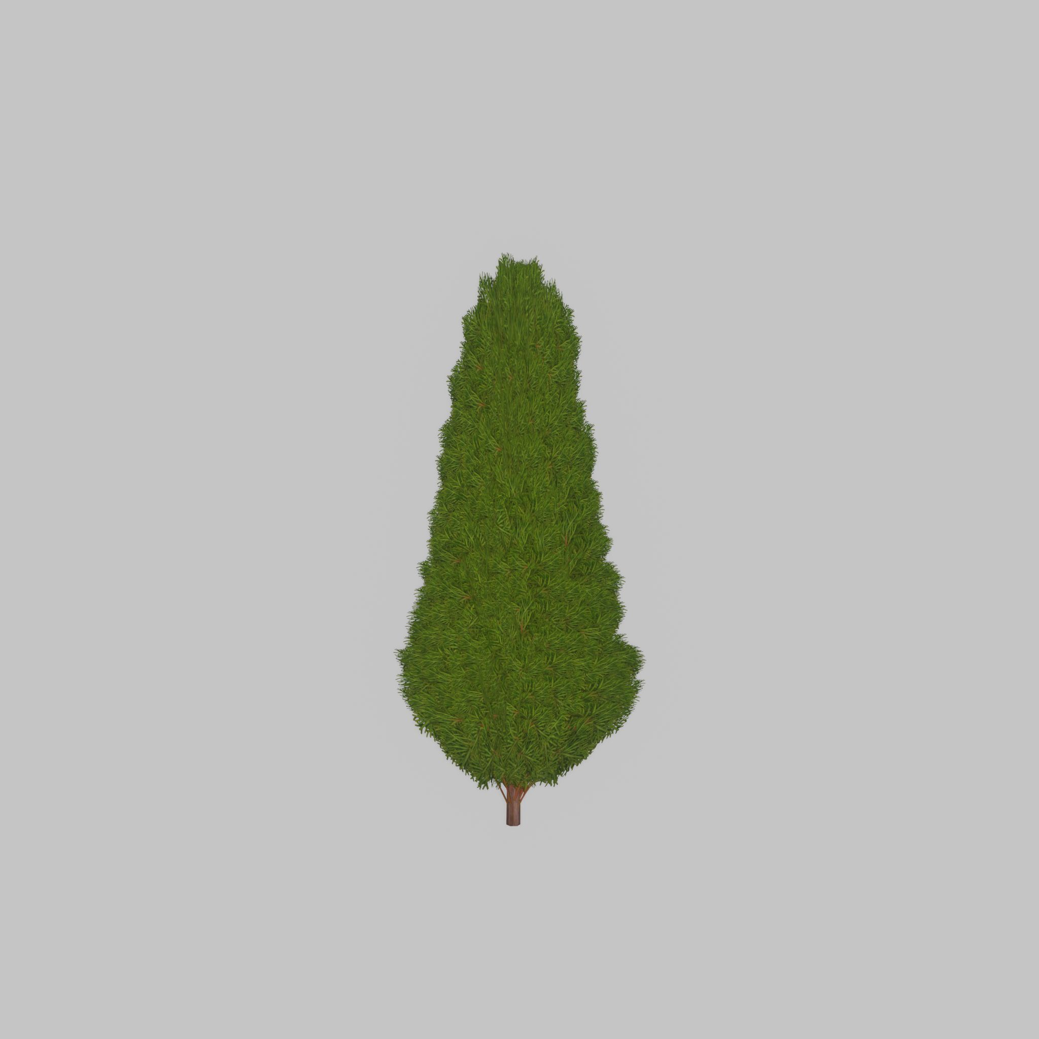 Mock cypress version-2 1000mm Low-poly 3D model_21