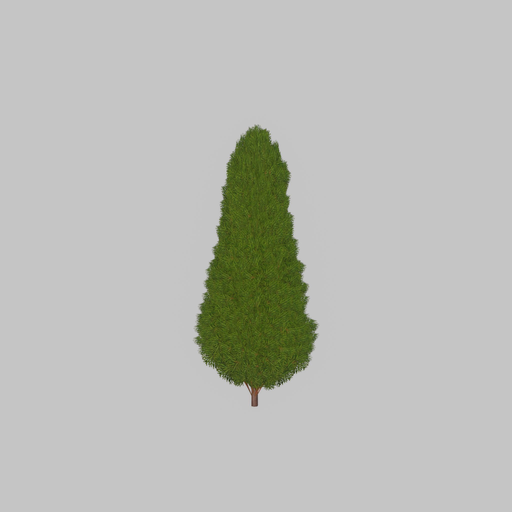 Mock cypress version-2 1000mm Low-poly 3D model_40