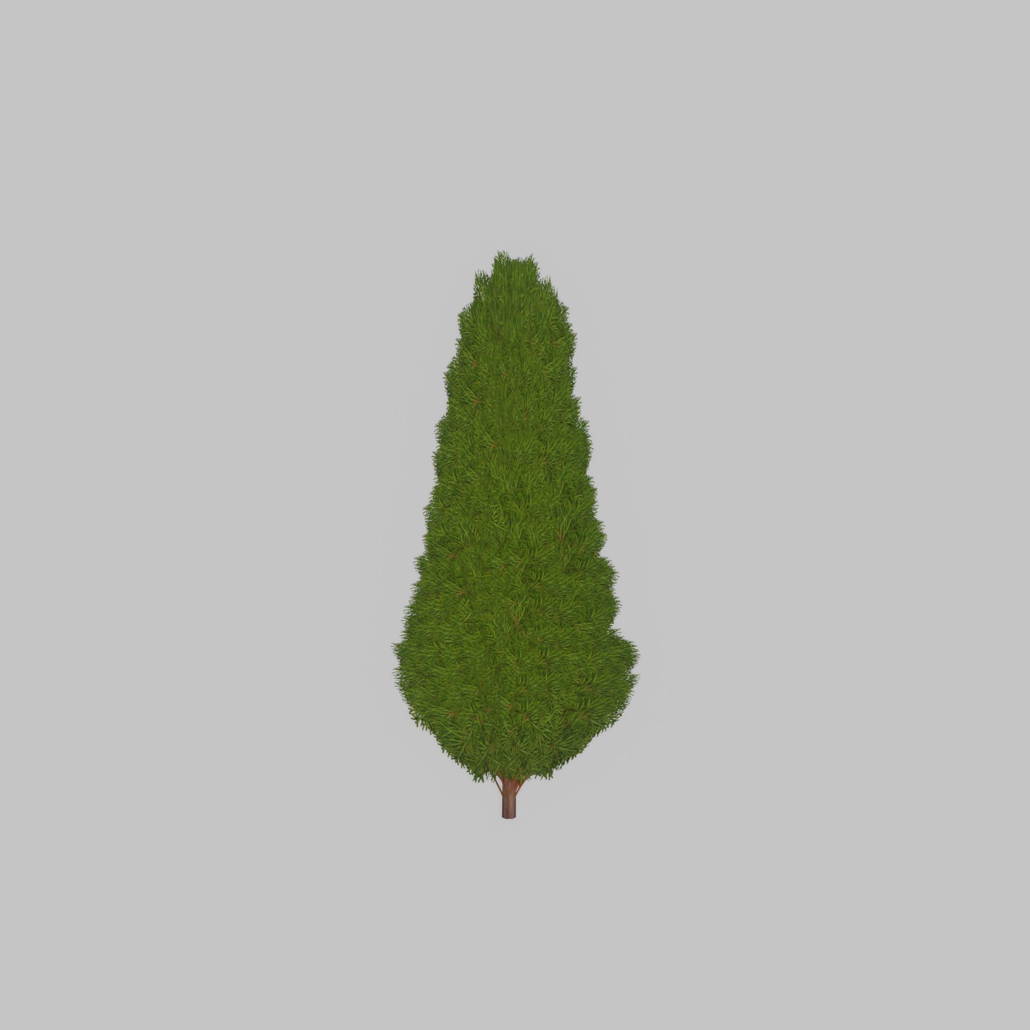 Mock cypress version-2 1000mm Low-poly 3D model_38