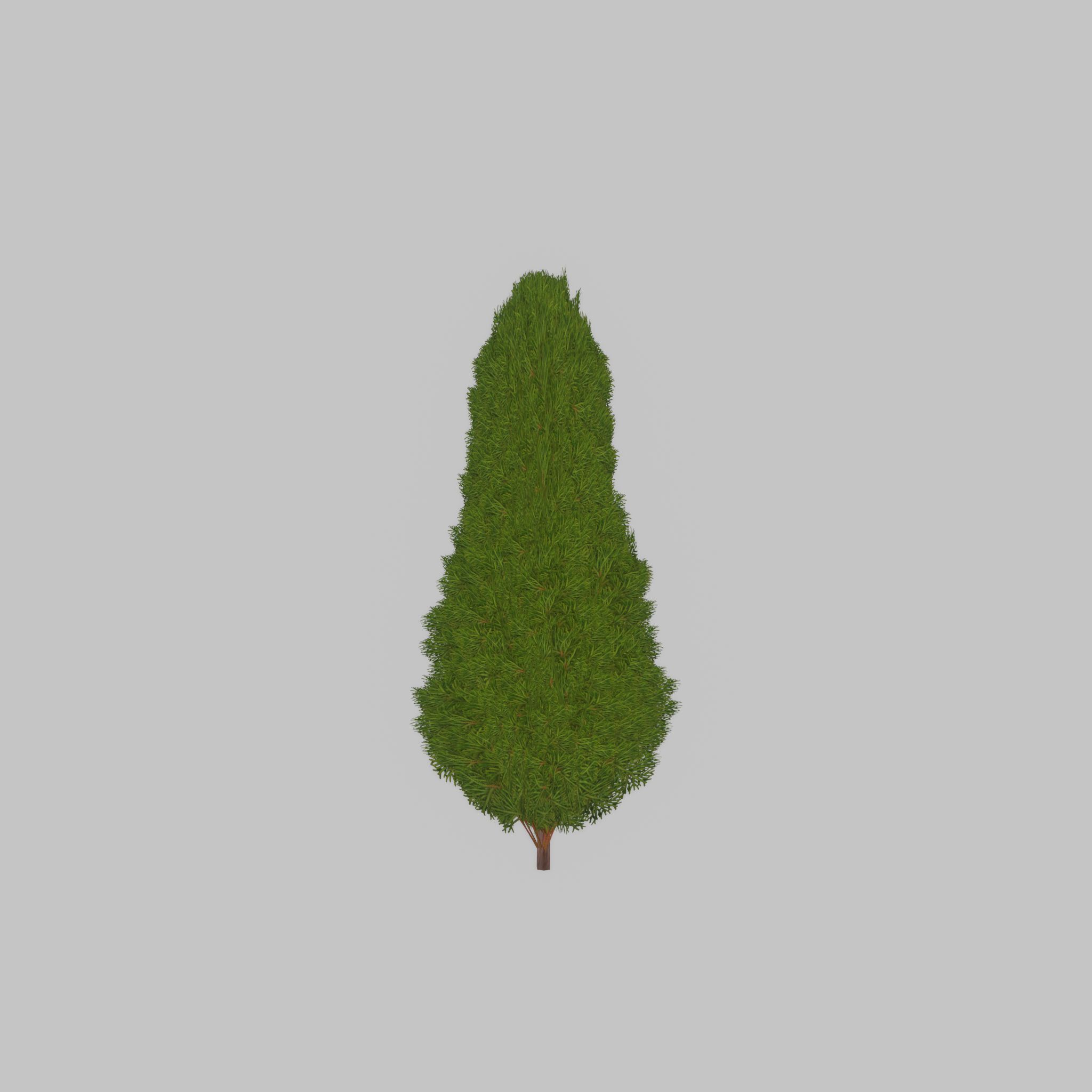 Mock cypress version-2 1000mm Low-poly 3D model_31