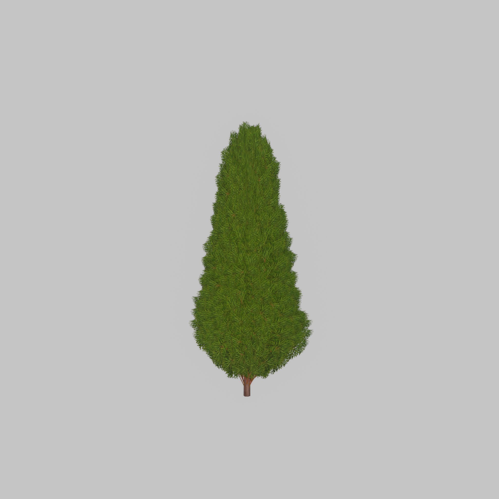 Mock cypress version-2 1000mm Low-poly 3D model_32