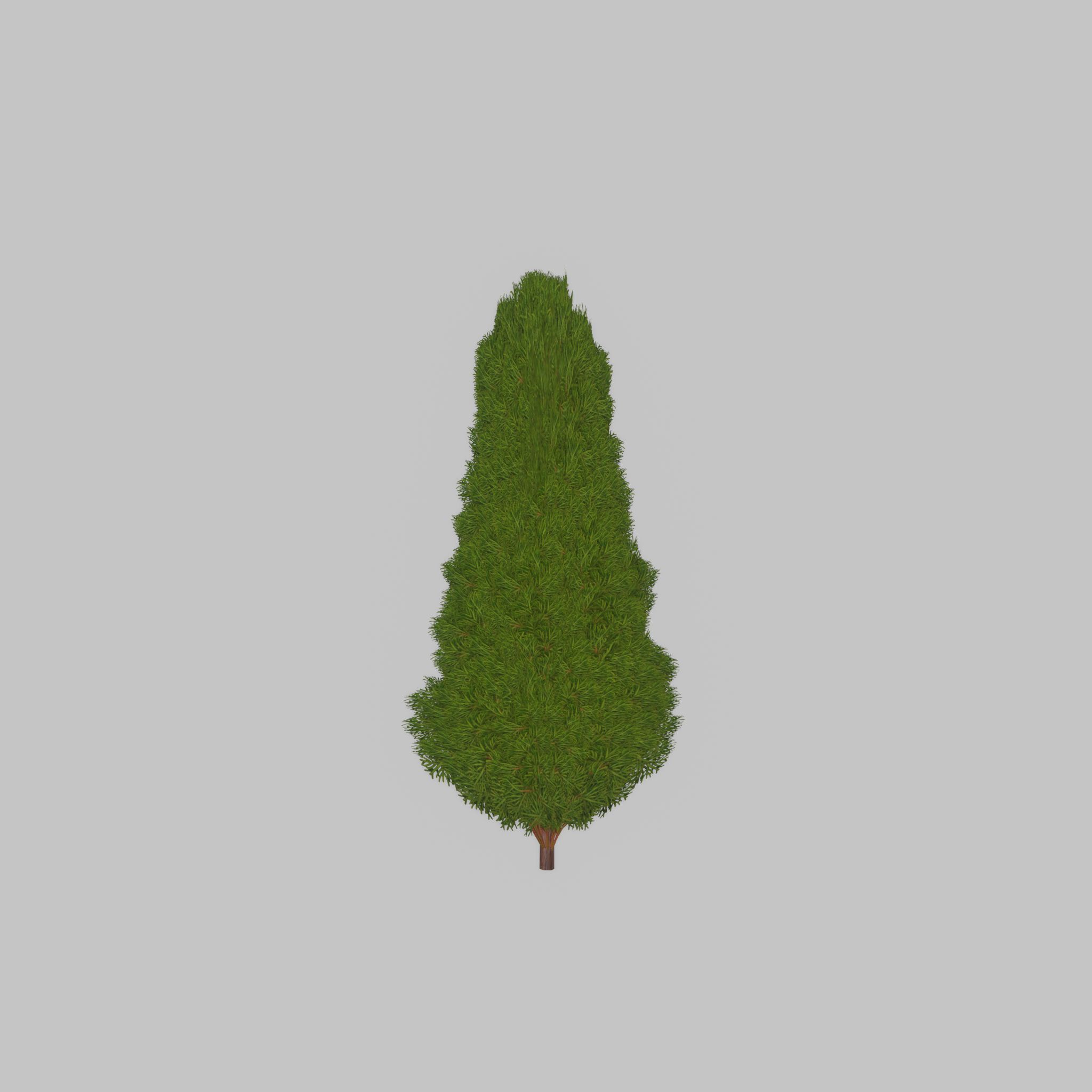 Mock cypress version-2 1000mm Low-poly 3D model_29