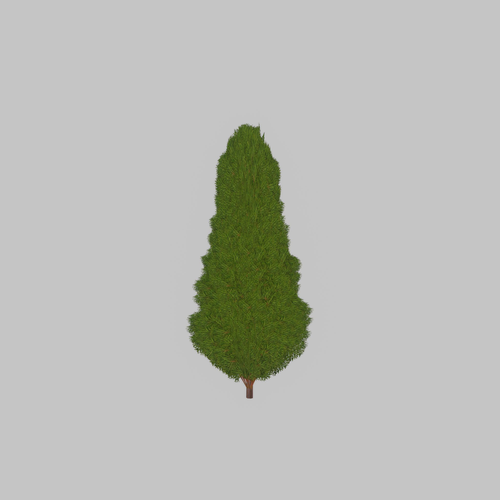 Mock cypress version-2 1000mm Low-poly 3D model_30