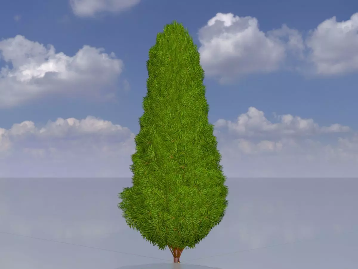 Mock cypress version-2 1000mm Low-poly 3D model_0