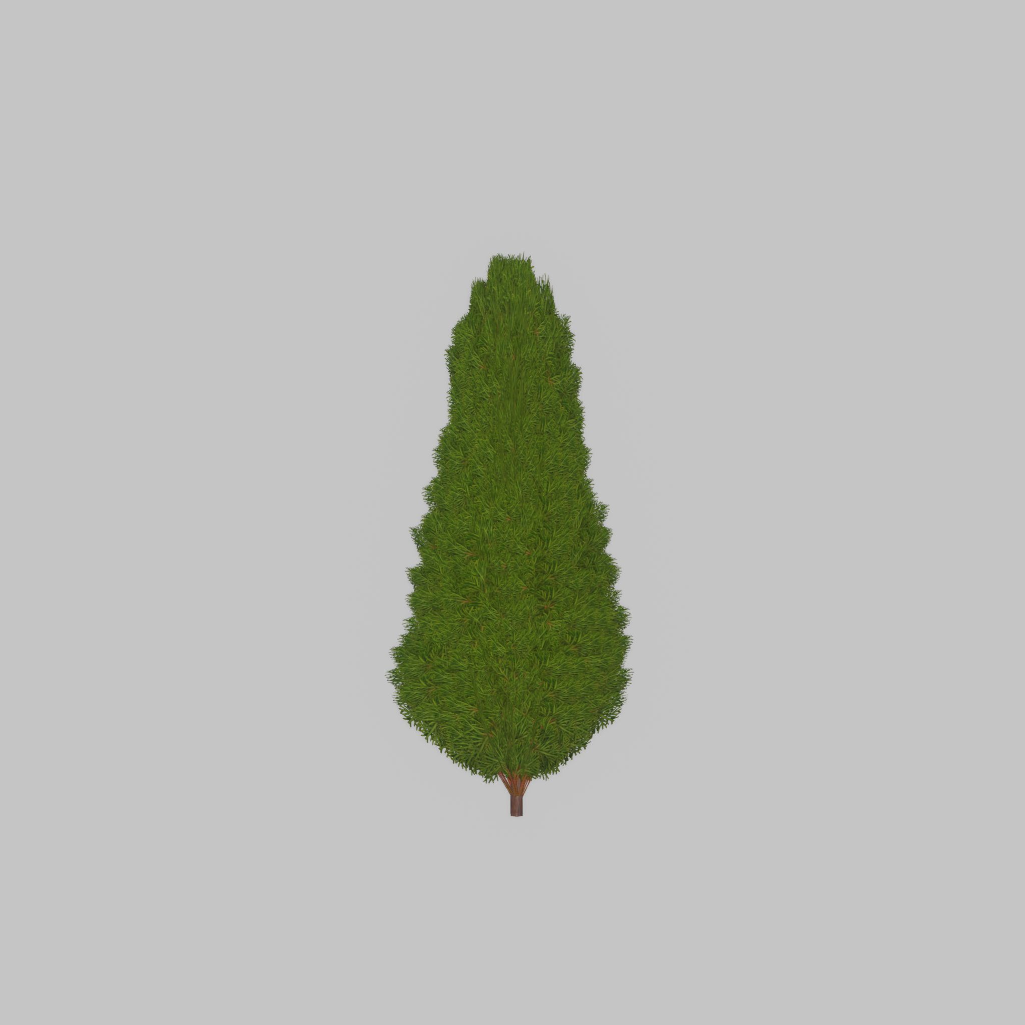 Mock cypress version-2 1000mm Low-poly 3D model_27