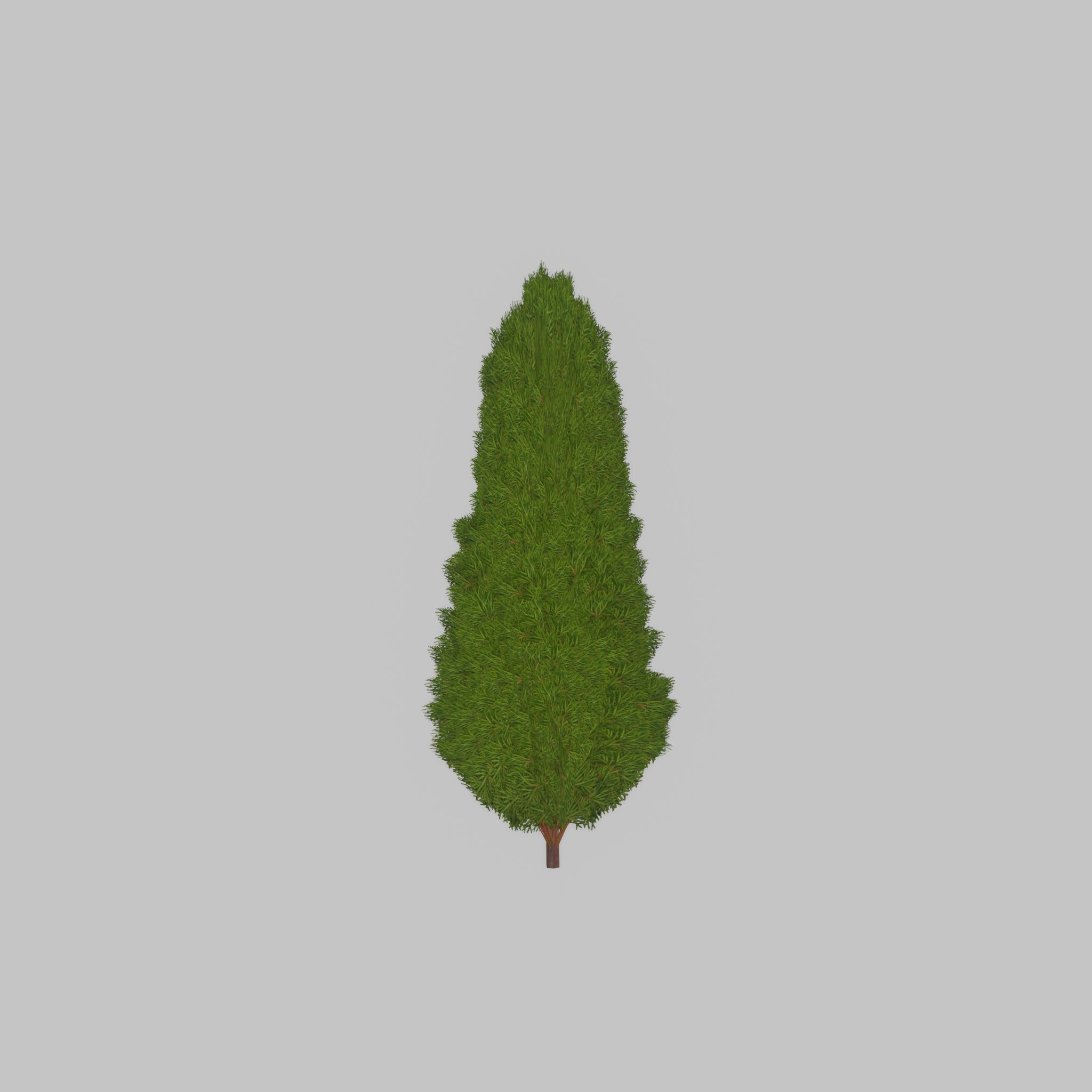 Mock cypress version-2 1000mm Low-poly 3D model_23