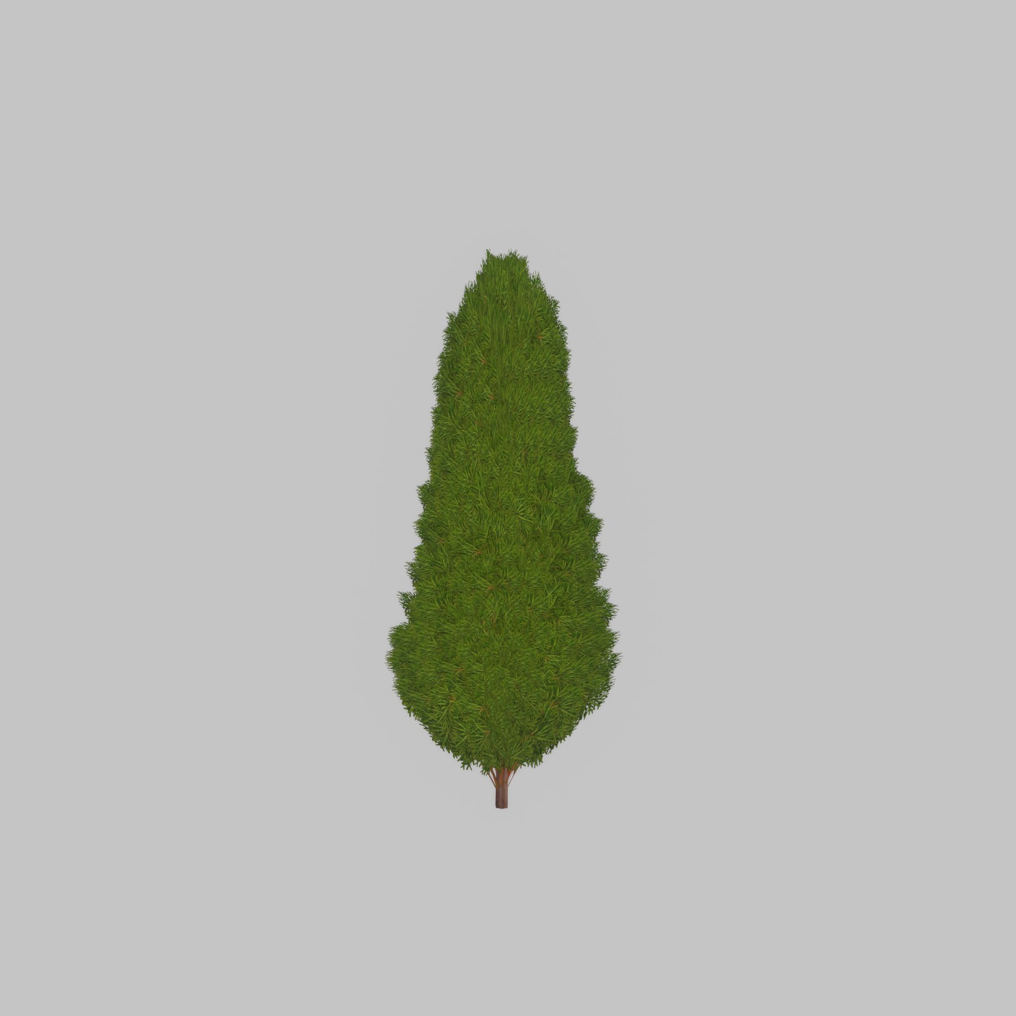 Mock cypress version-2 1000mm Low-poly 3D model_36
