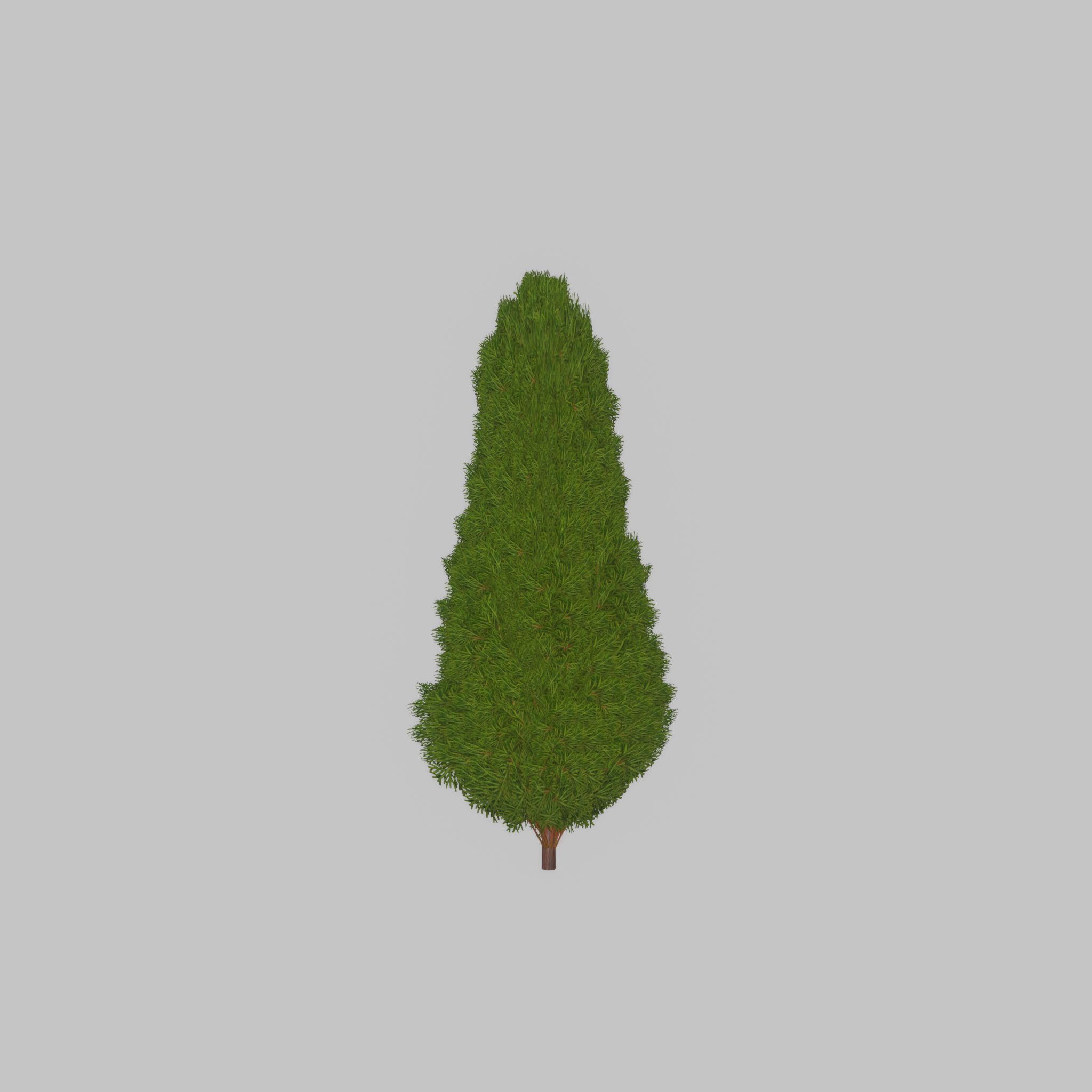 Mock cypress version-2 1000mm Low-poly 3D model_28