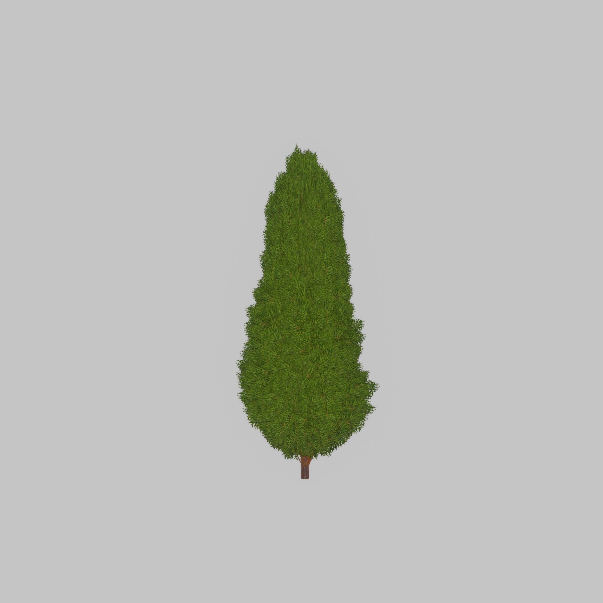 Mock cypress version-2 1000mm Low-poly 3D model_22