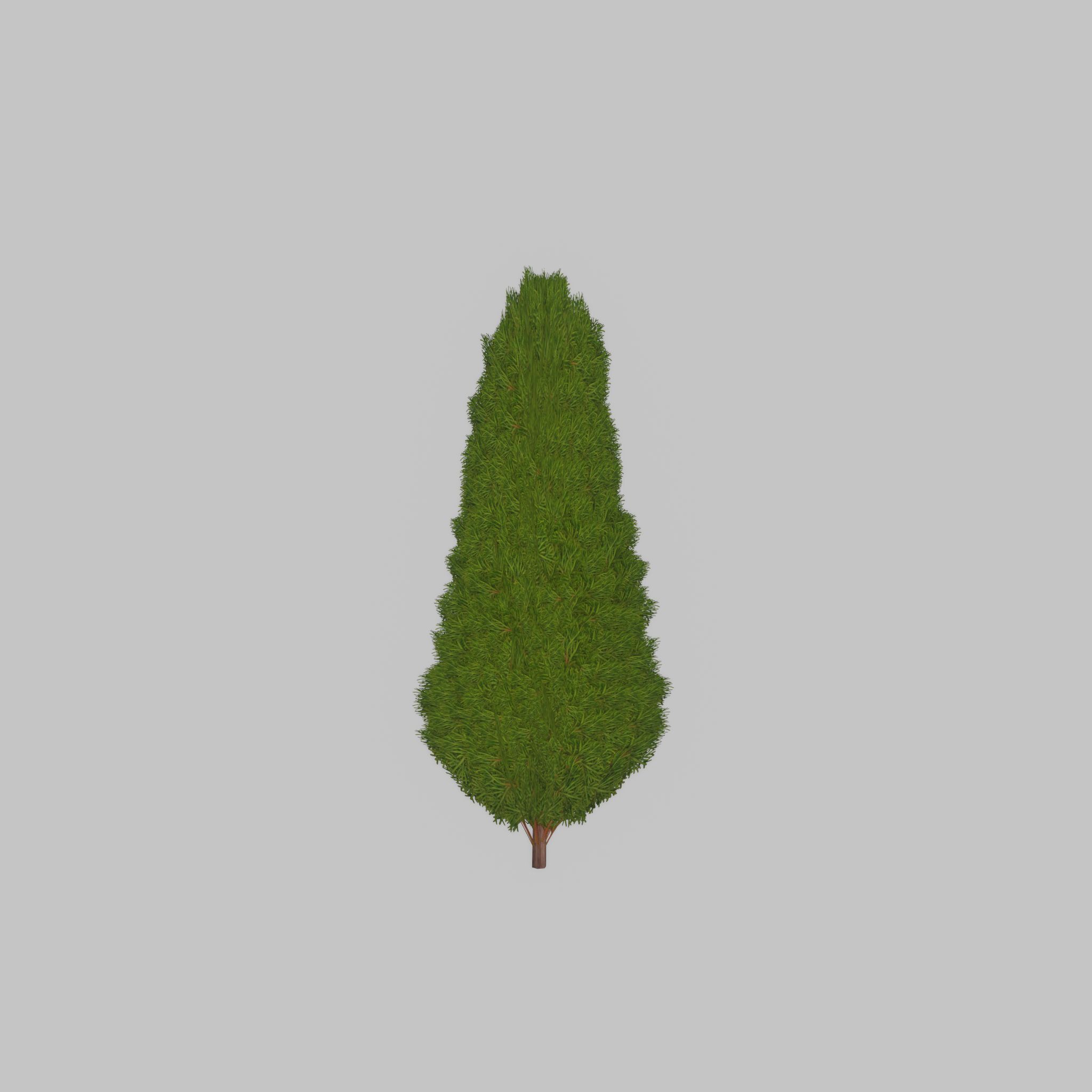 Mock cypress version-2 1000mm Low-poly 3D model_37