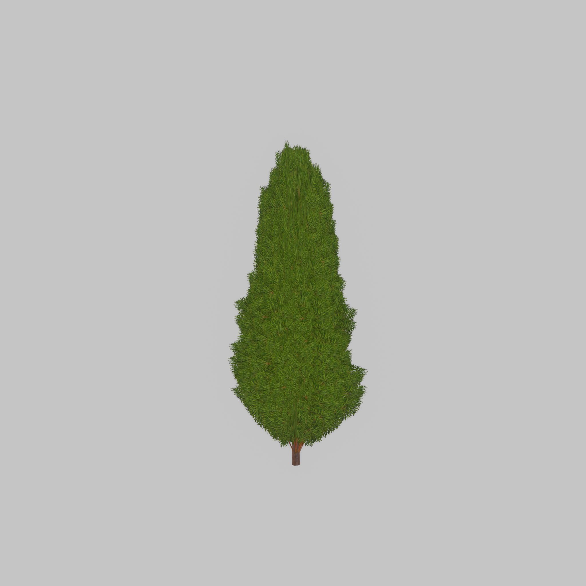 Mock cypress version-2 1000mm Low-poly 3D model_45