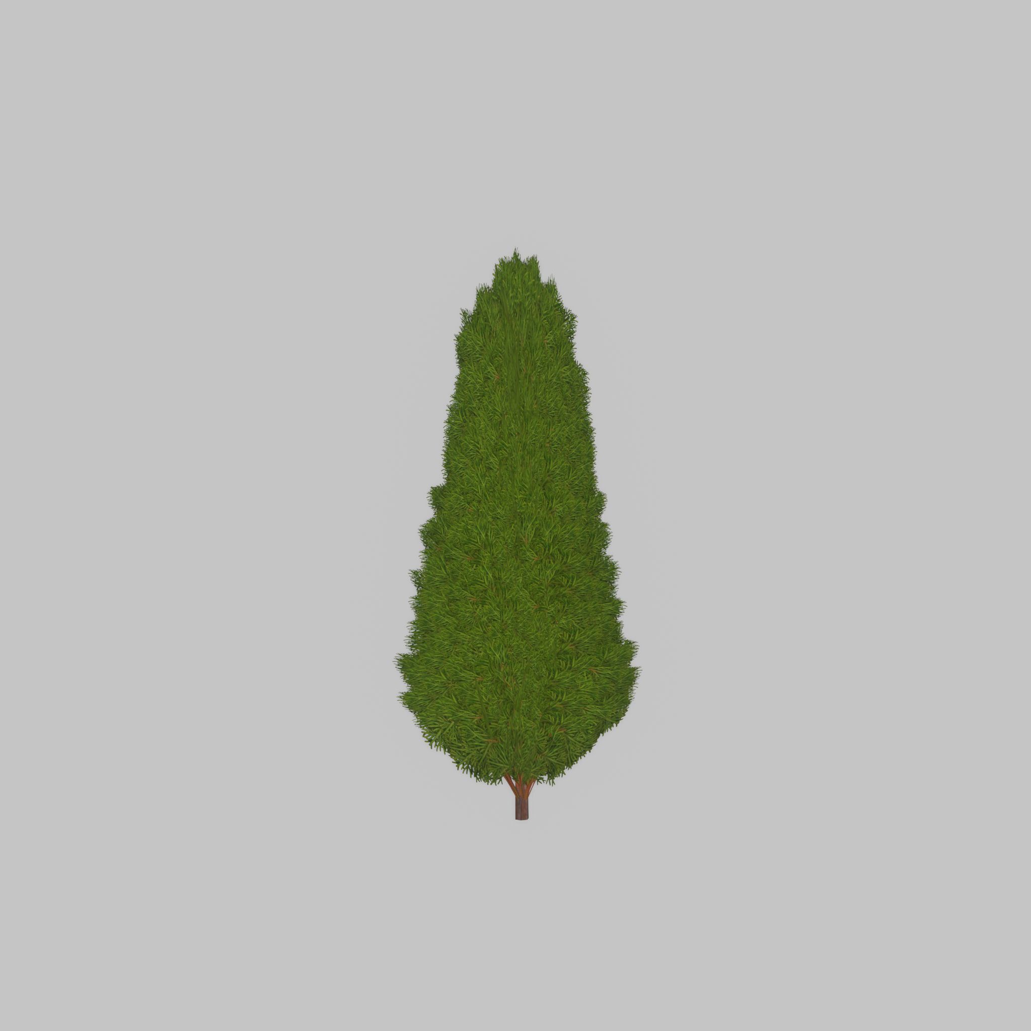 Mock cypress version-2 1000mm Low-poly 3D model_24