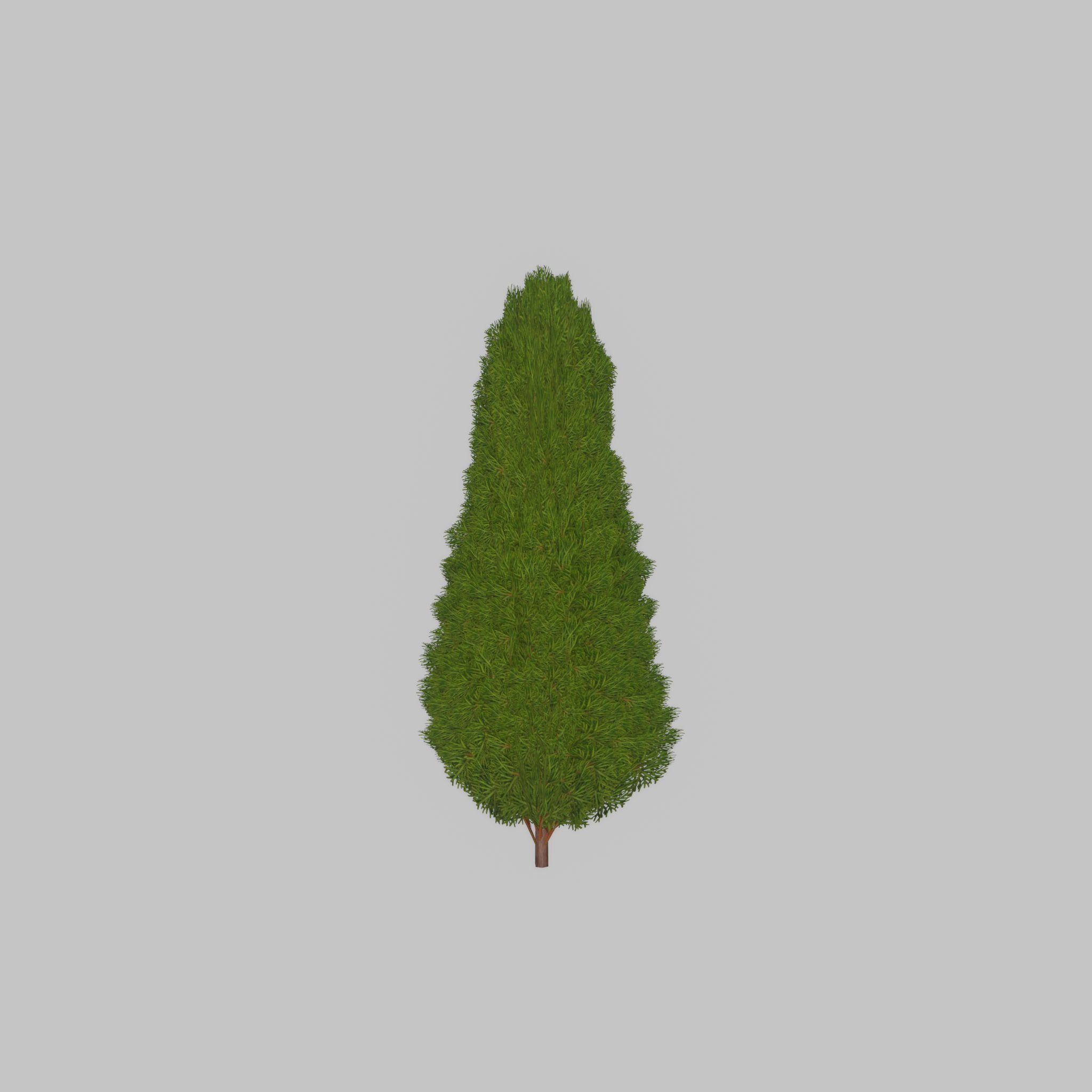 Mock cypress version-2 1000mm Low-poly 3D model_39