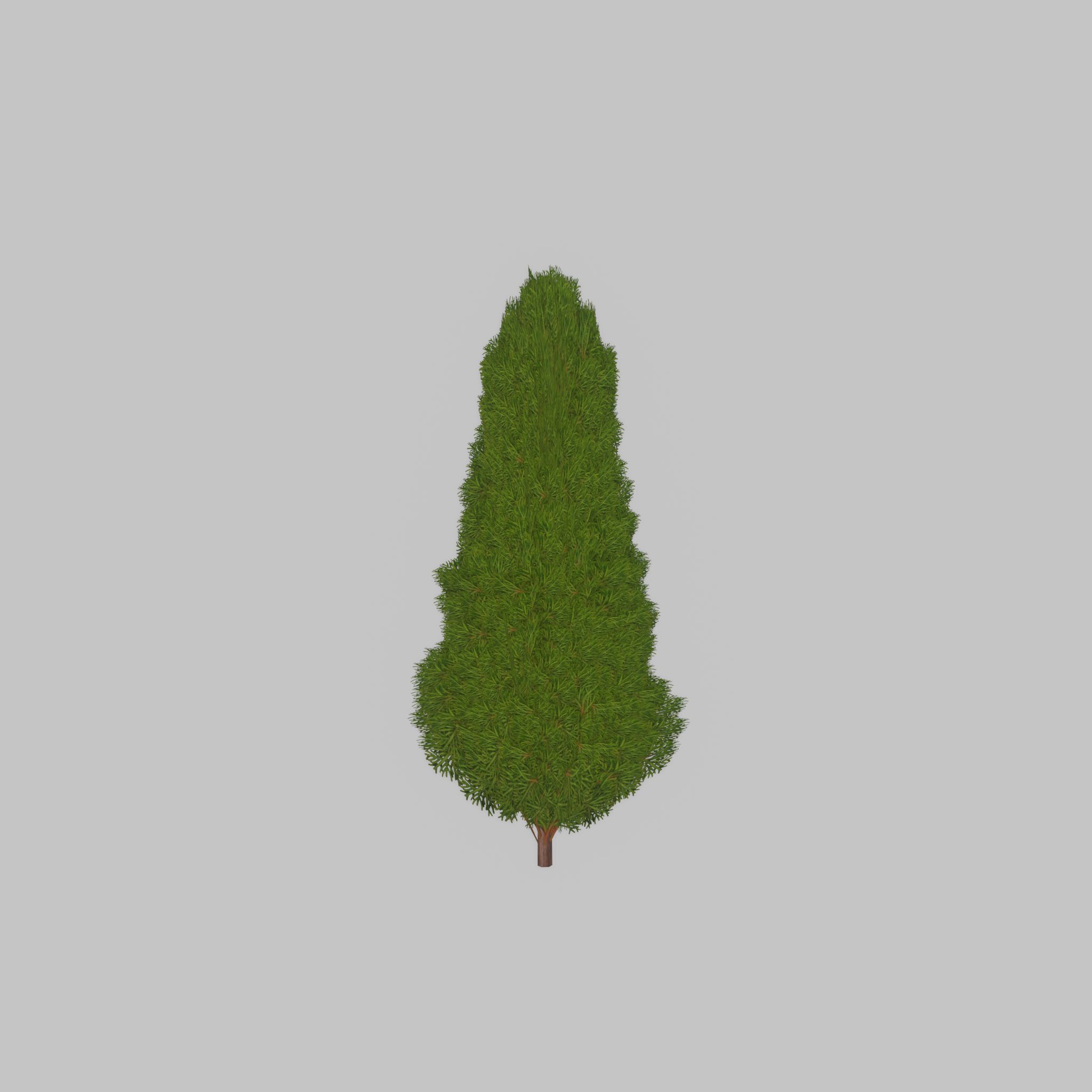 Mock cypress version-2 1000mm Low-poly 3D model_41