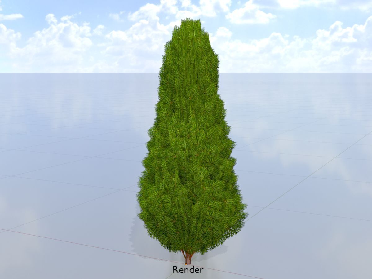 Mock cypress version-2 1000mm Low-poly 3D model_15