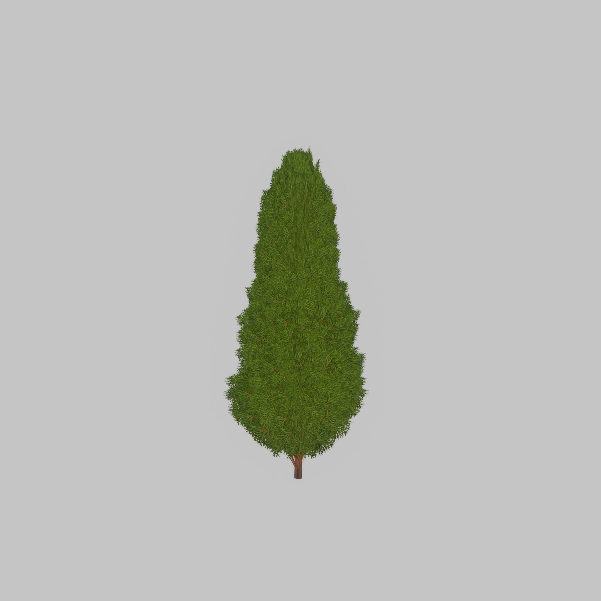 Mock cypress version-2 1000mm Low-poly 3D model_33