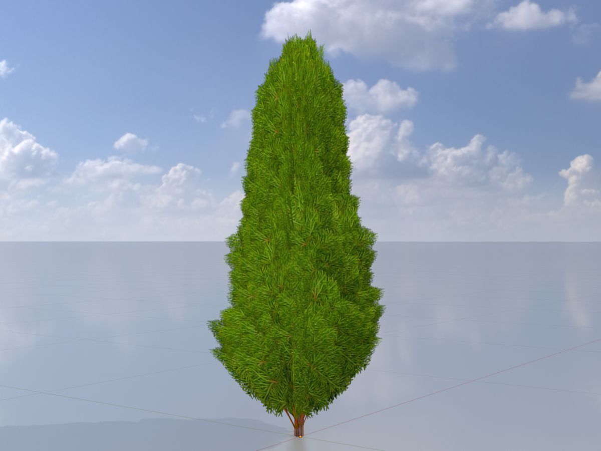 Mock cypress version-2 1000mm Low-poly 3D model_2