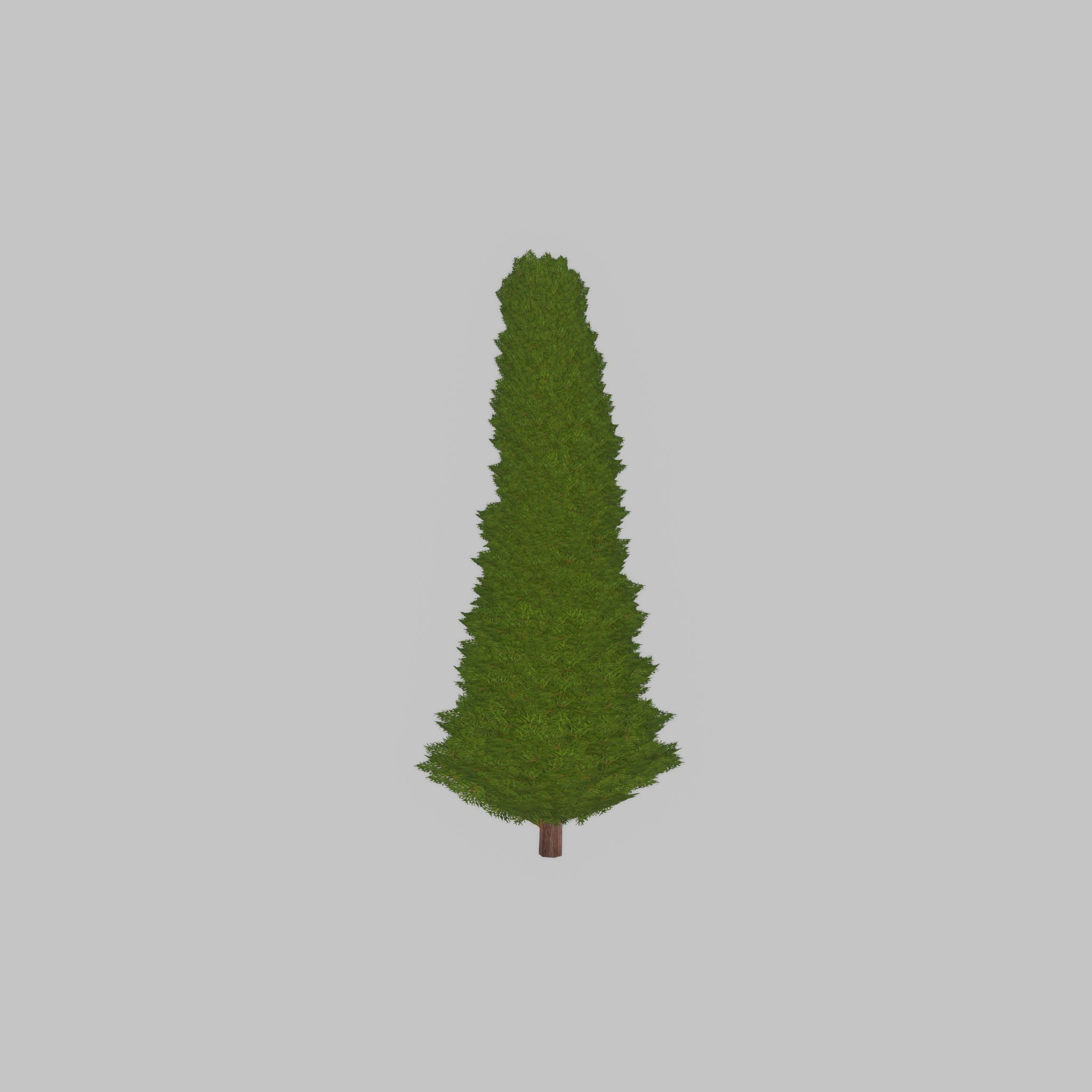 Mock cypress version-3 1000mm Low-poly 3D model_35