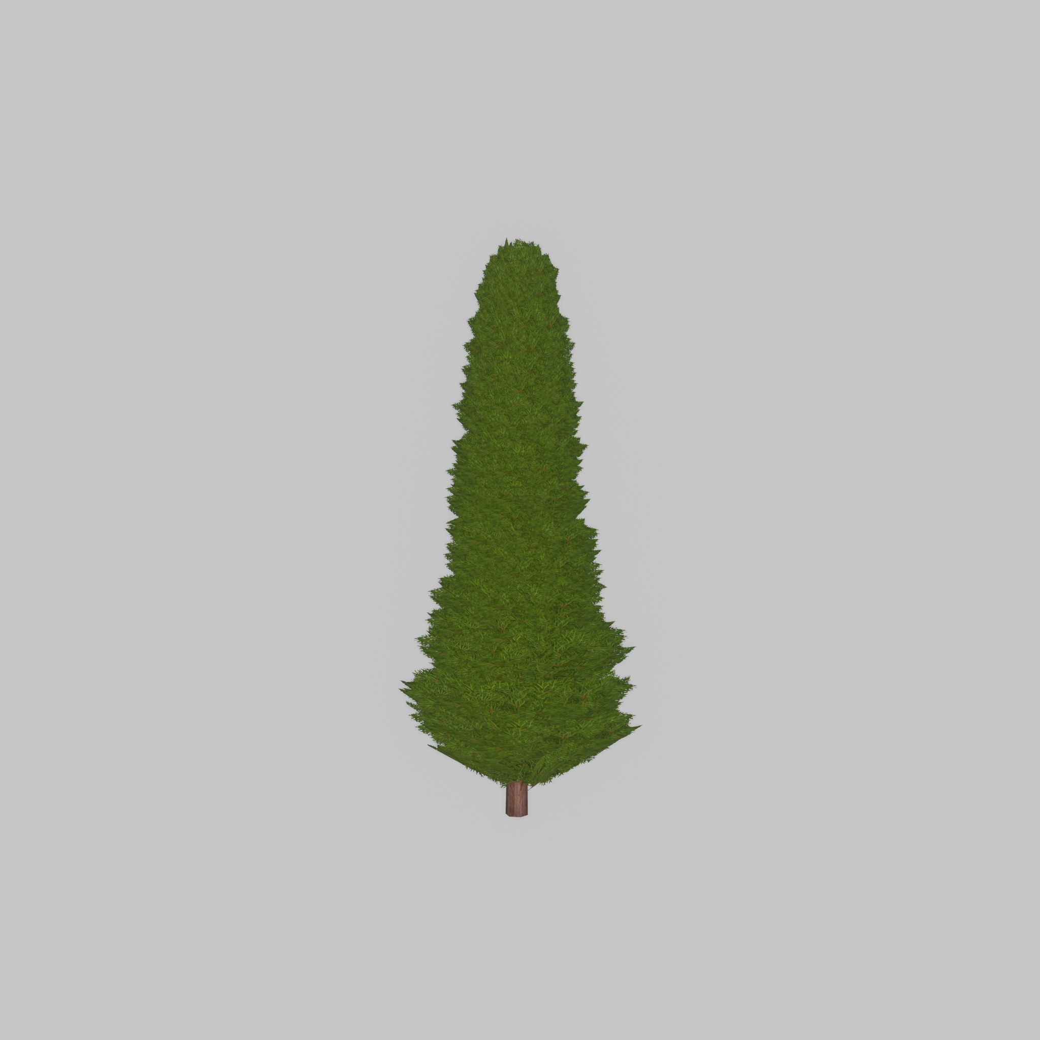 Mock cypress version-3 1000mm Low-poly 3D model_32
