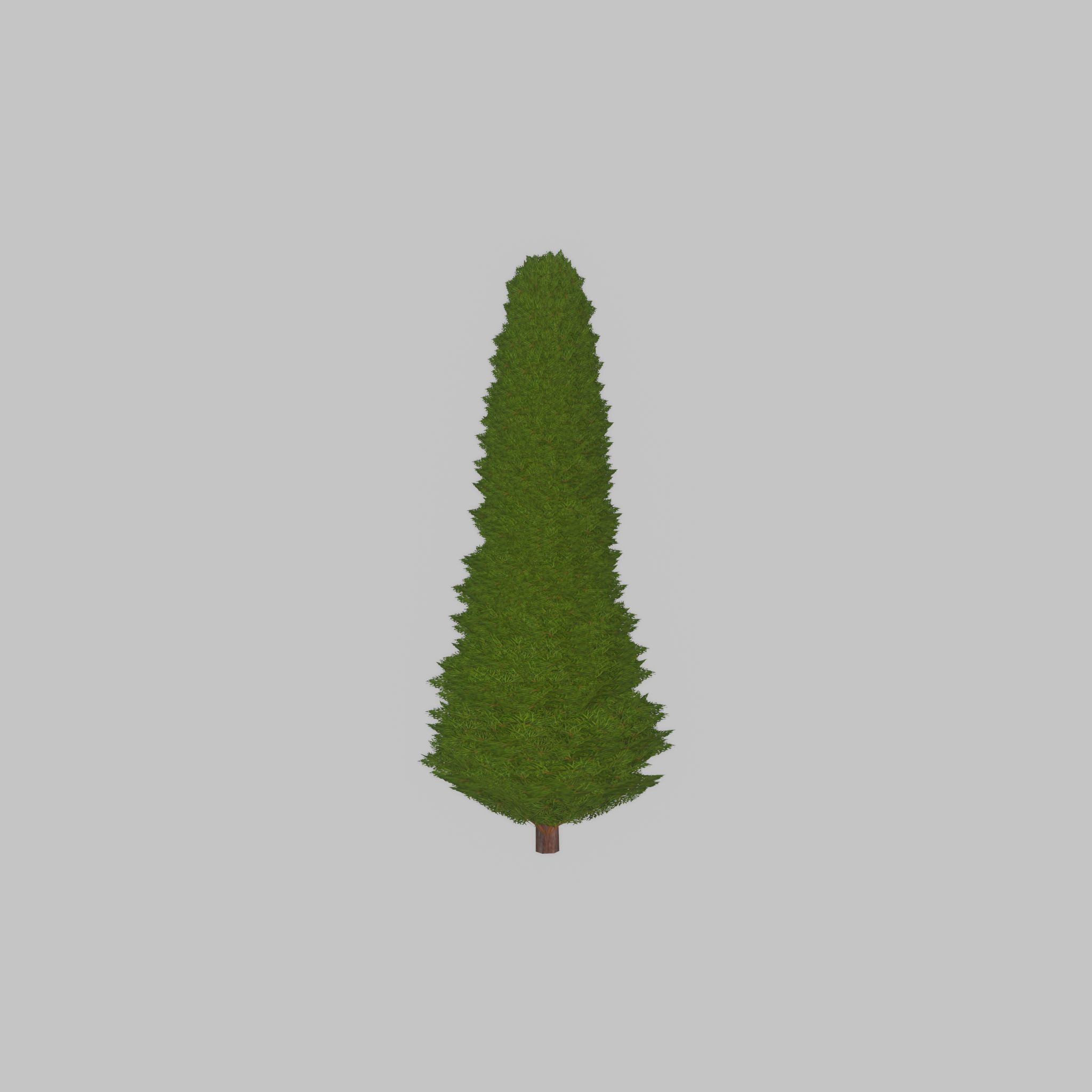 Mock cypress version-3 1000mm Low-poly 3D model_25