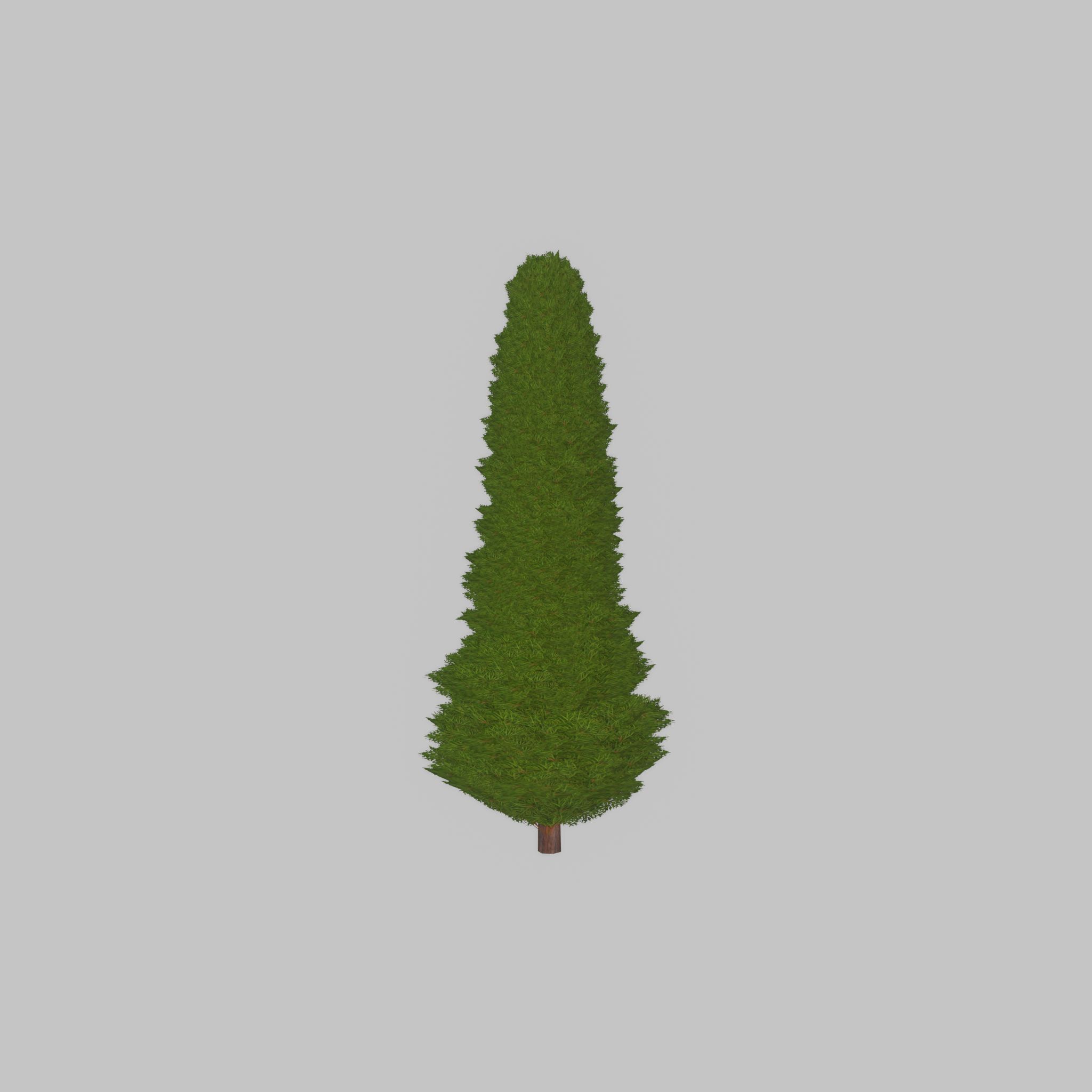 Mock cypress version-3 1000mm Low-poly 3D model_26