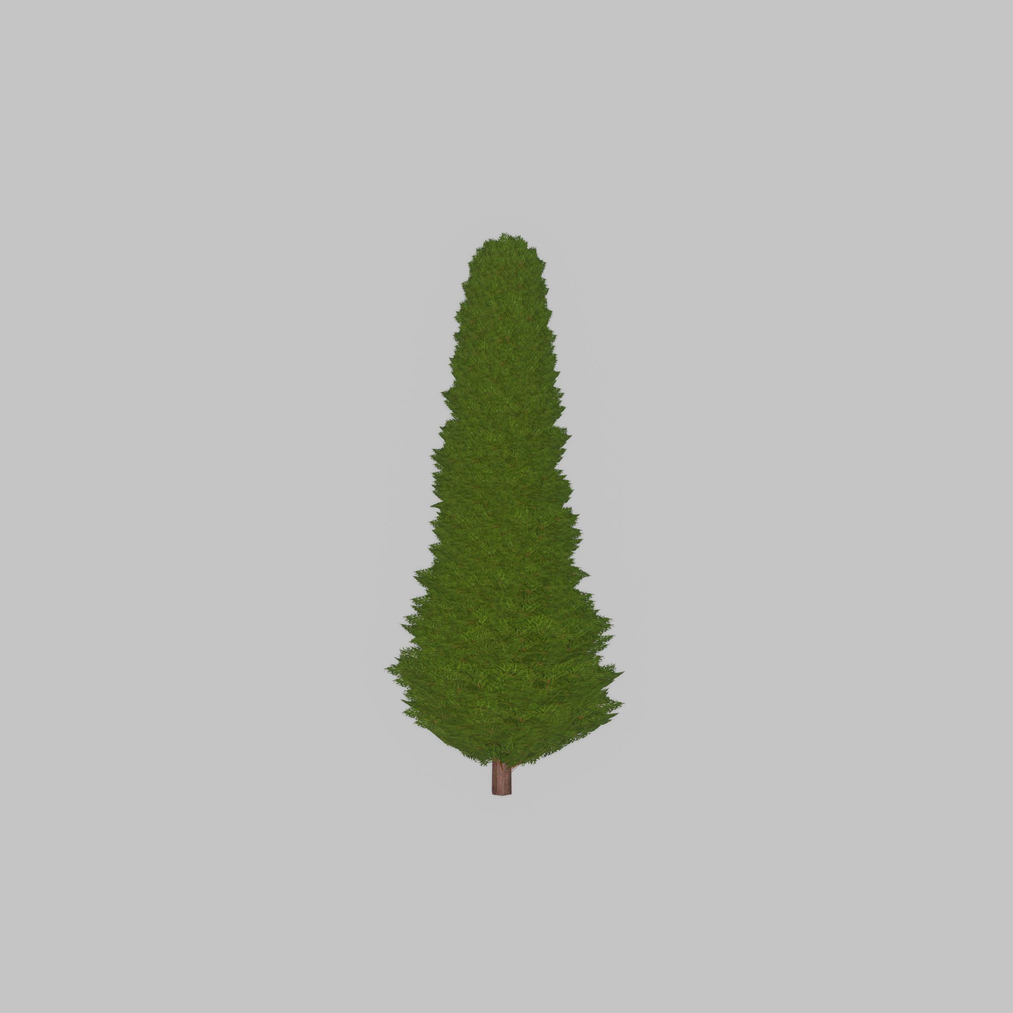 Mock cypress version-3 1000mm Low-poly 3D model_39