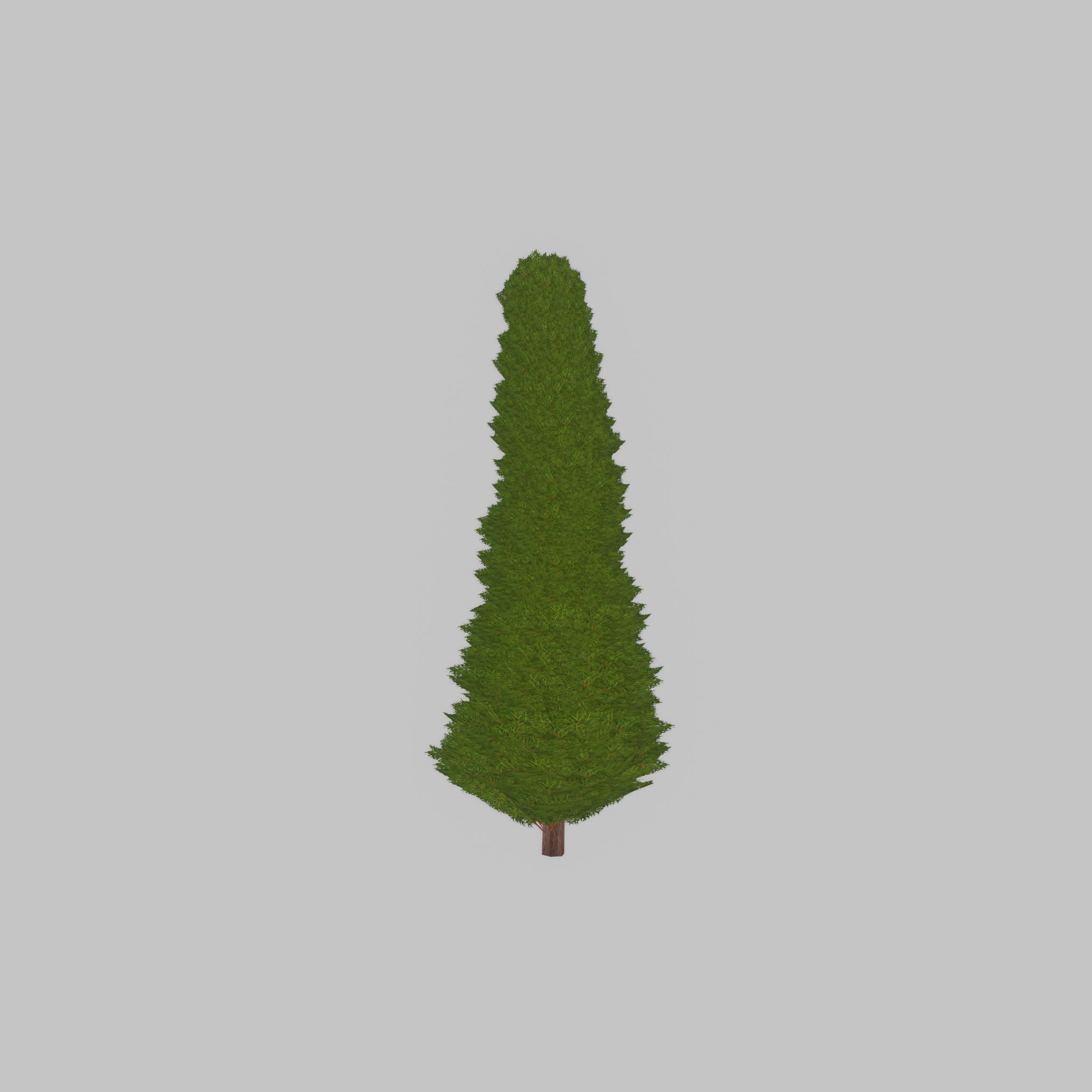 Mock cypress version-3 1000mm Low-poly 3D model_33