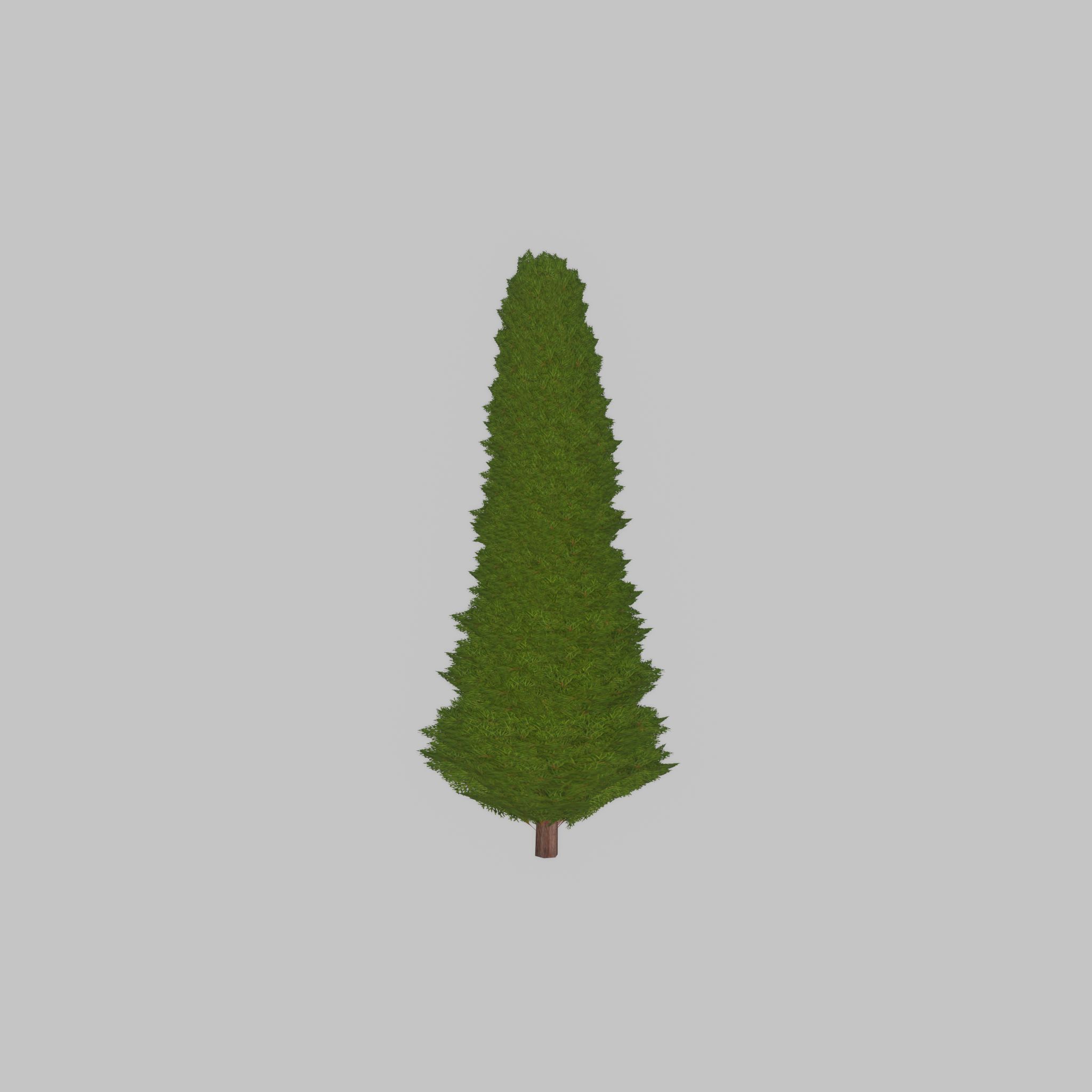 Mock cypress version-3 1000mm Low-poly 3D model_37