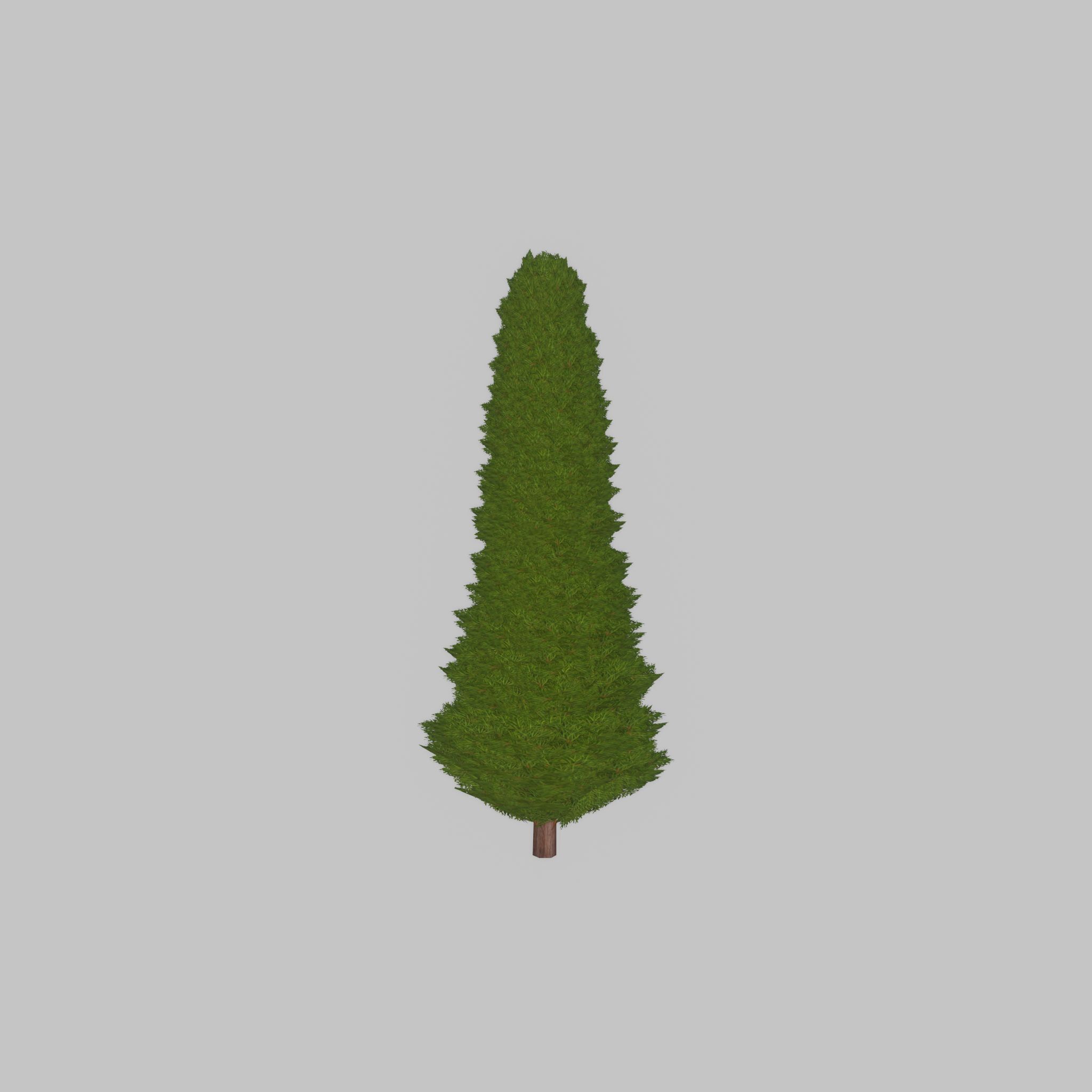 Mock cypress version-3 1000mm Low-poly 3D model_21