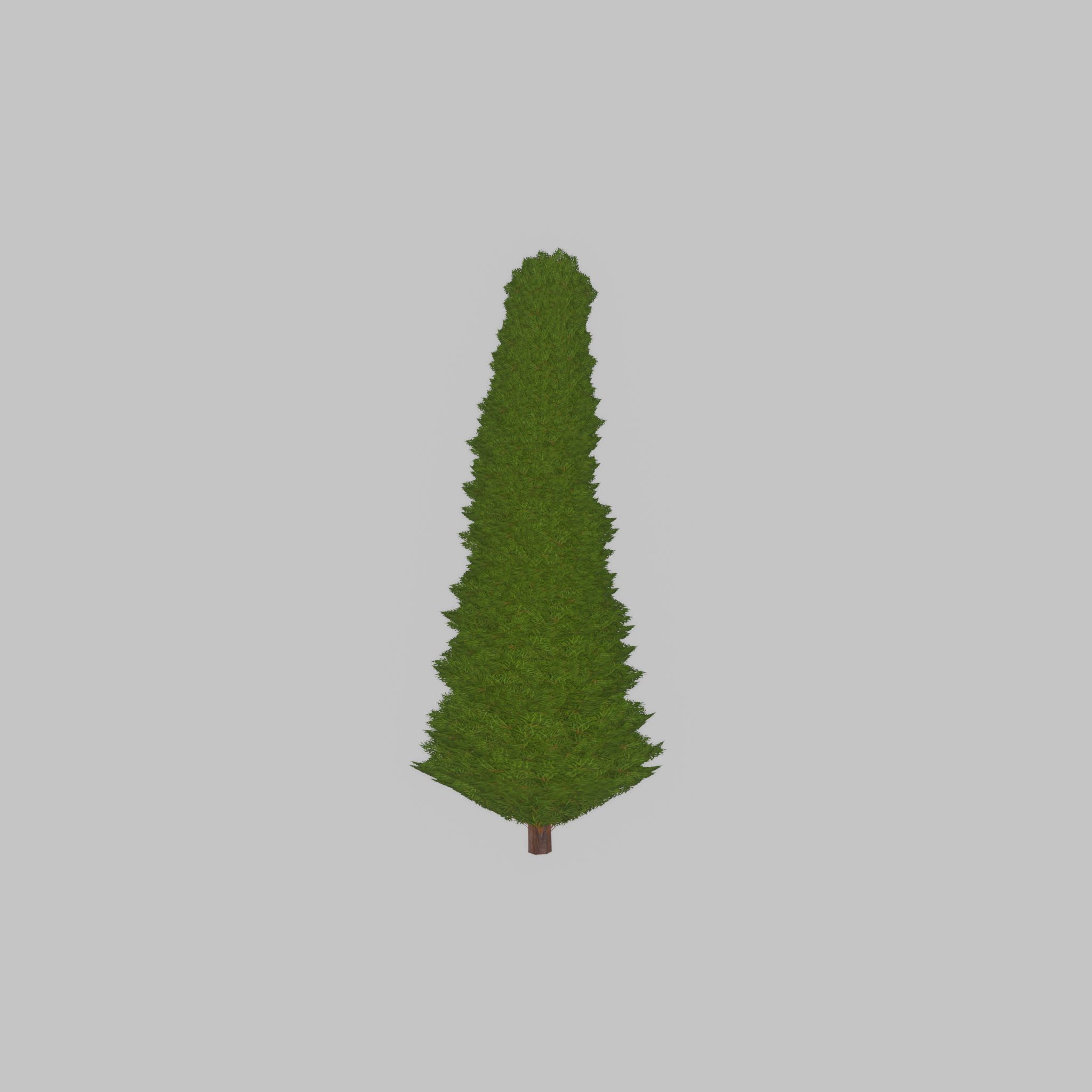 Mock cypress version-3 1000mm Low-poly 3D model_45