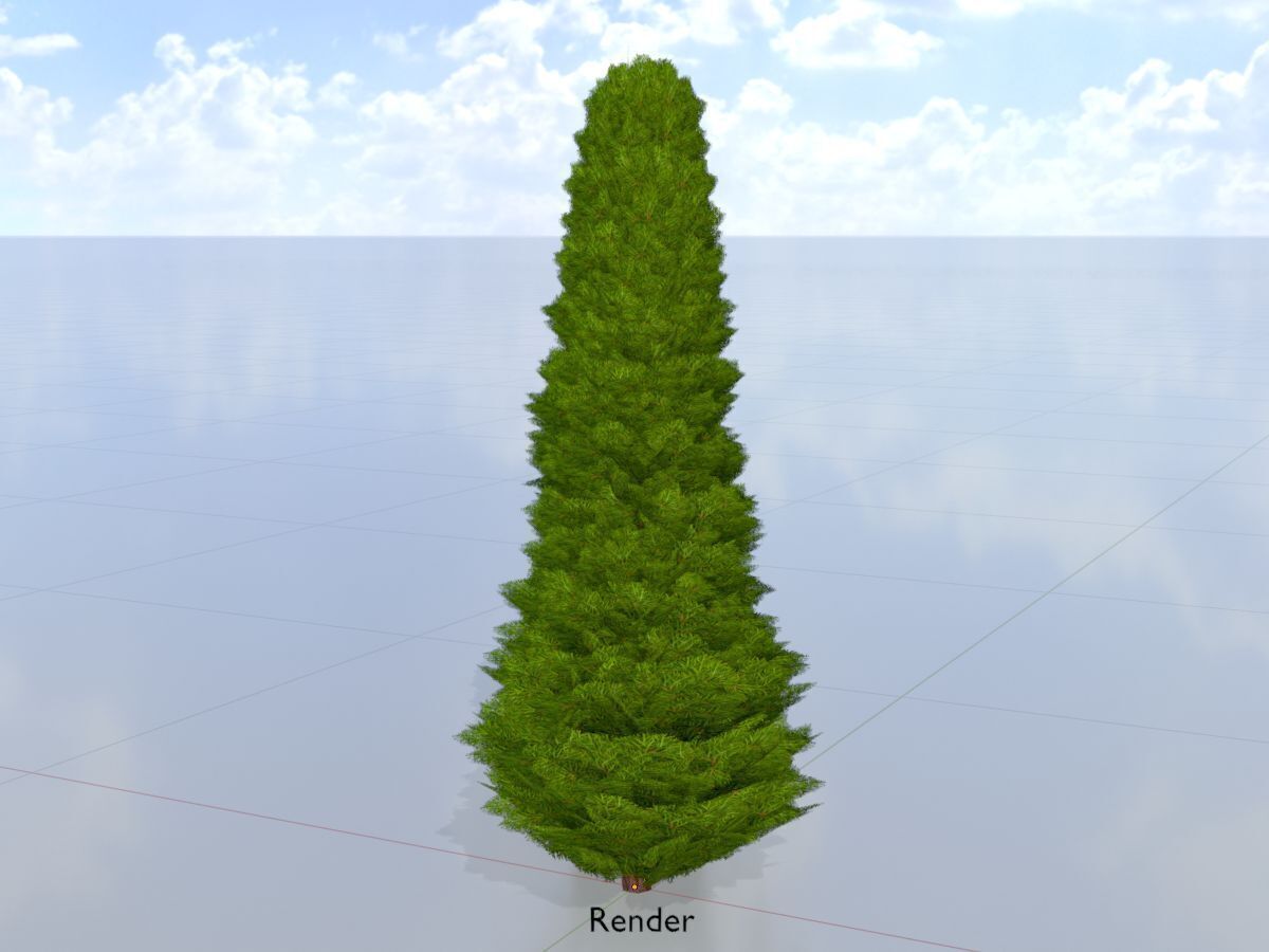 Mock cypress version-3 1000mm Low-poly 3D model_15