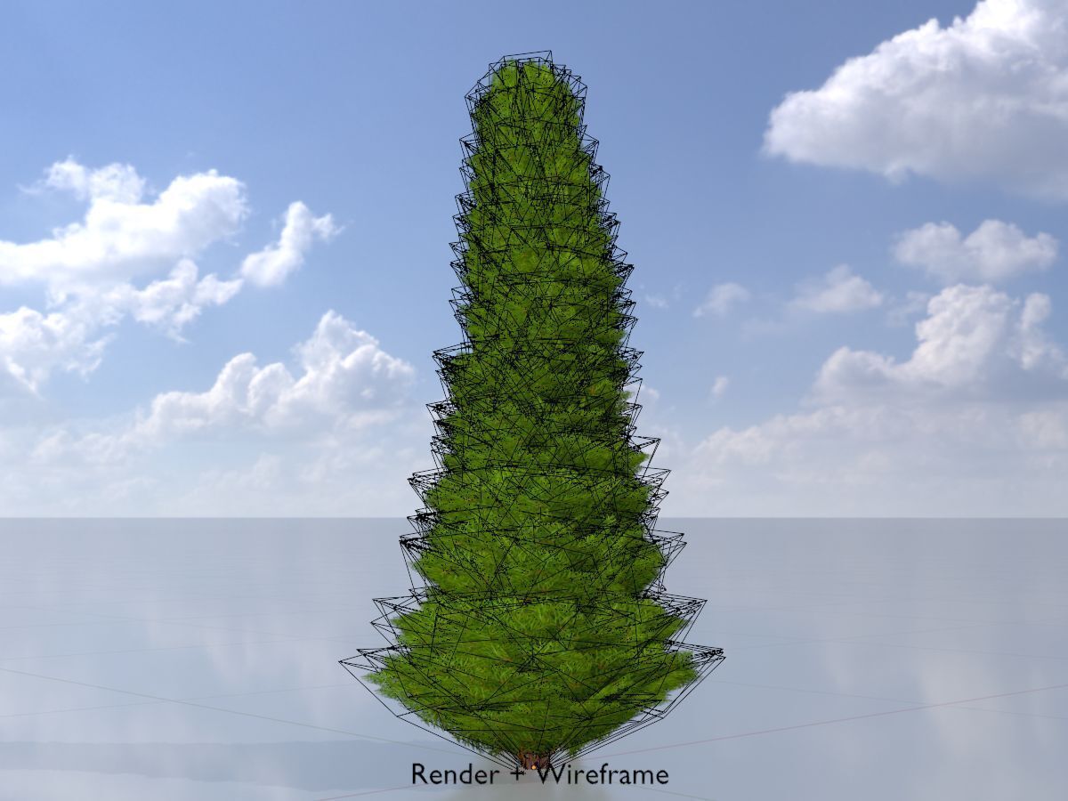Mock cypress version-3 1000mm Low-poly 3D model_6