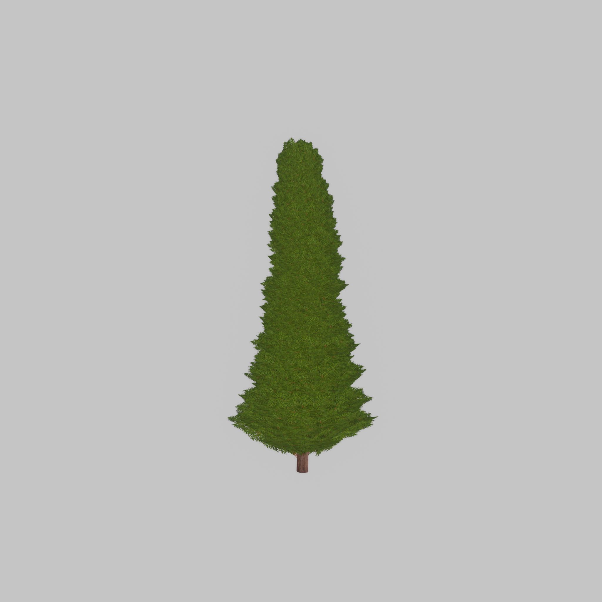 Mock cypress version-3 1000mm Low-poly 3D model_36