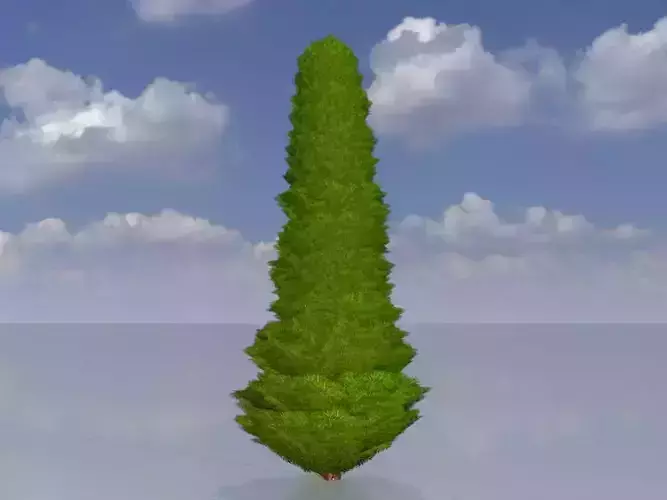Mock cypress version-3 1000mm Low-poly 3D model