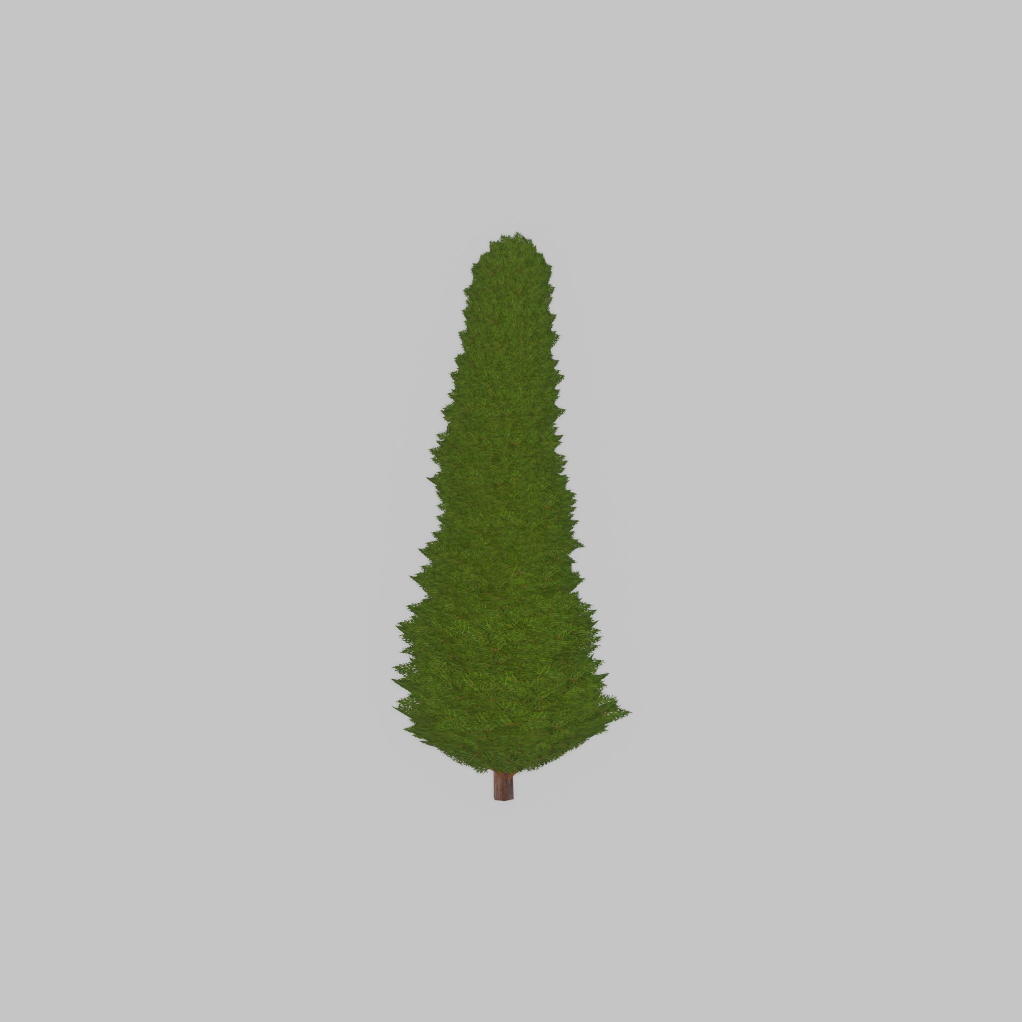 Mock cypress version-3 1000mm Low-poly 3D model_43