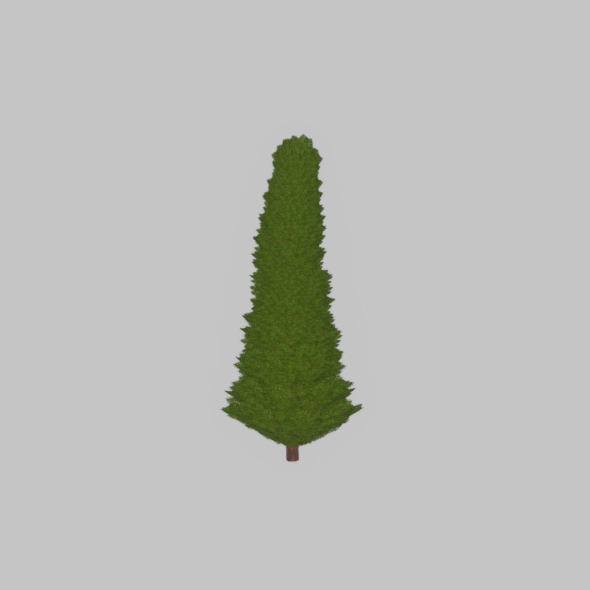 Mock cypress version-3 1000mm Low-poly 3D model_22