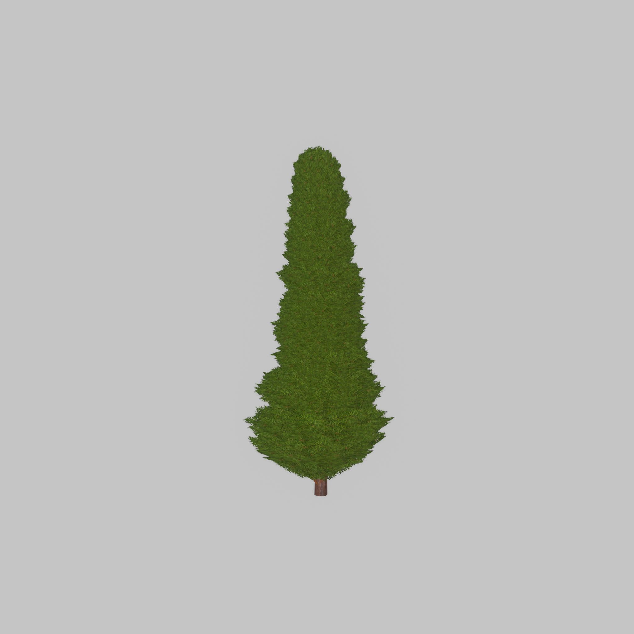 Mock cypress version-3 1000mm Low-poly 3D model_28