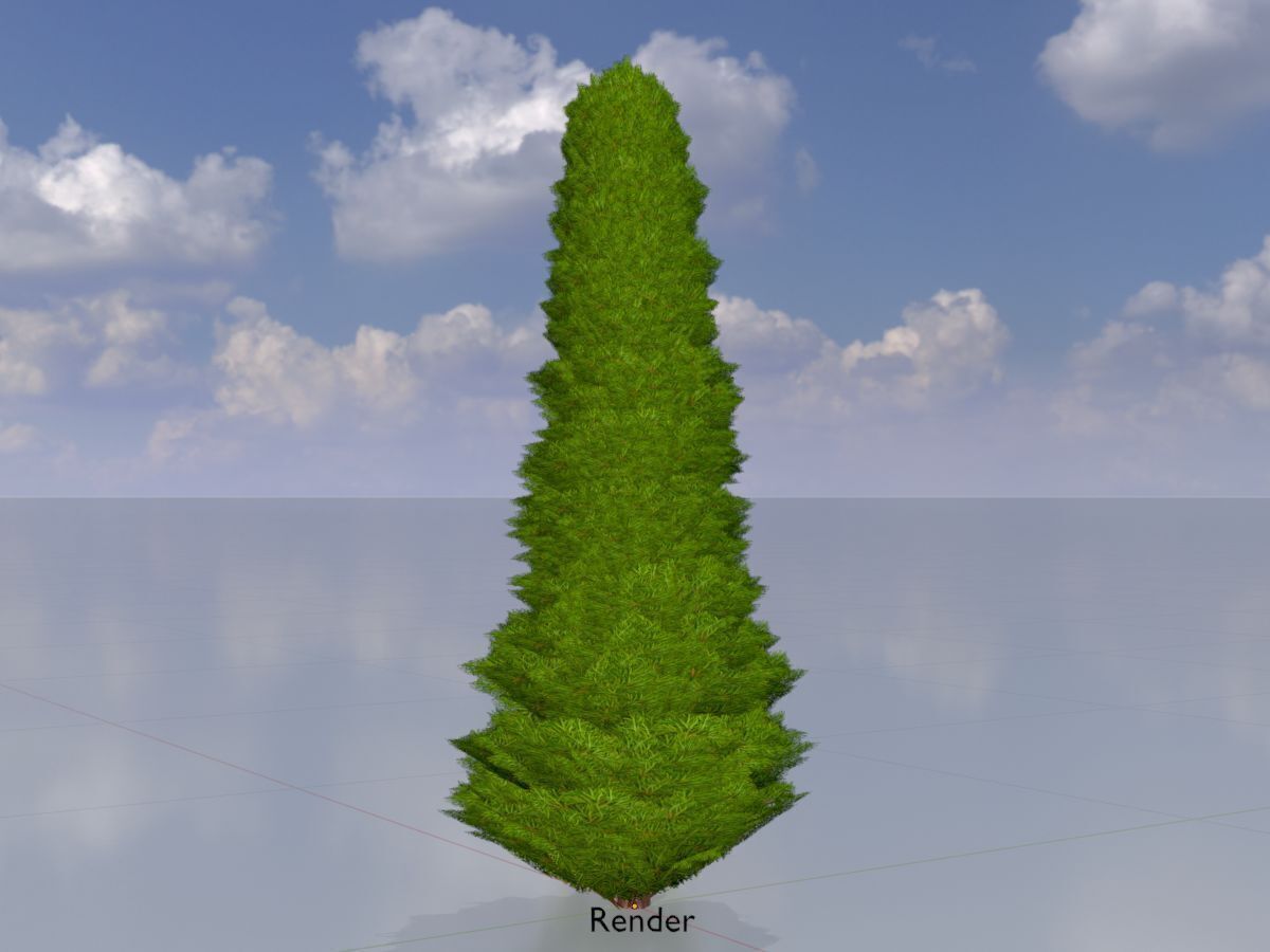 Mock cypress version-3 1000mm Low-poly 3D model_13