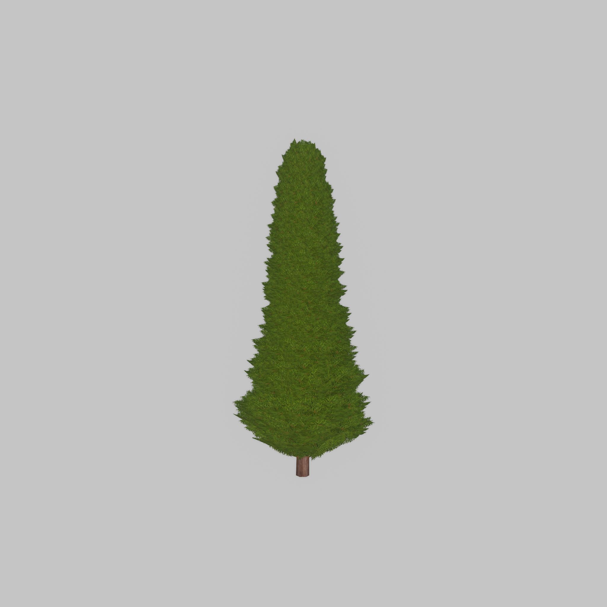 Mock cypress version-3 1000mm Low-poly 3D model_38