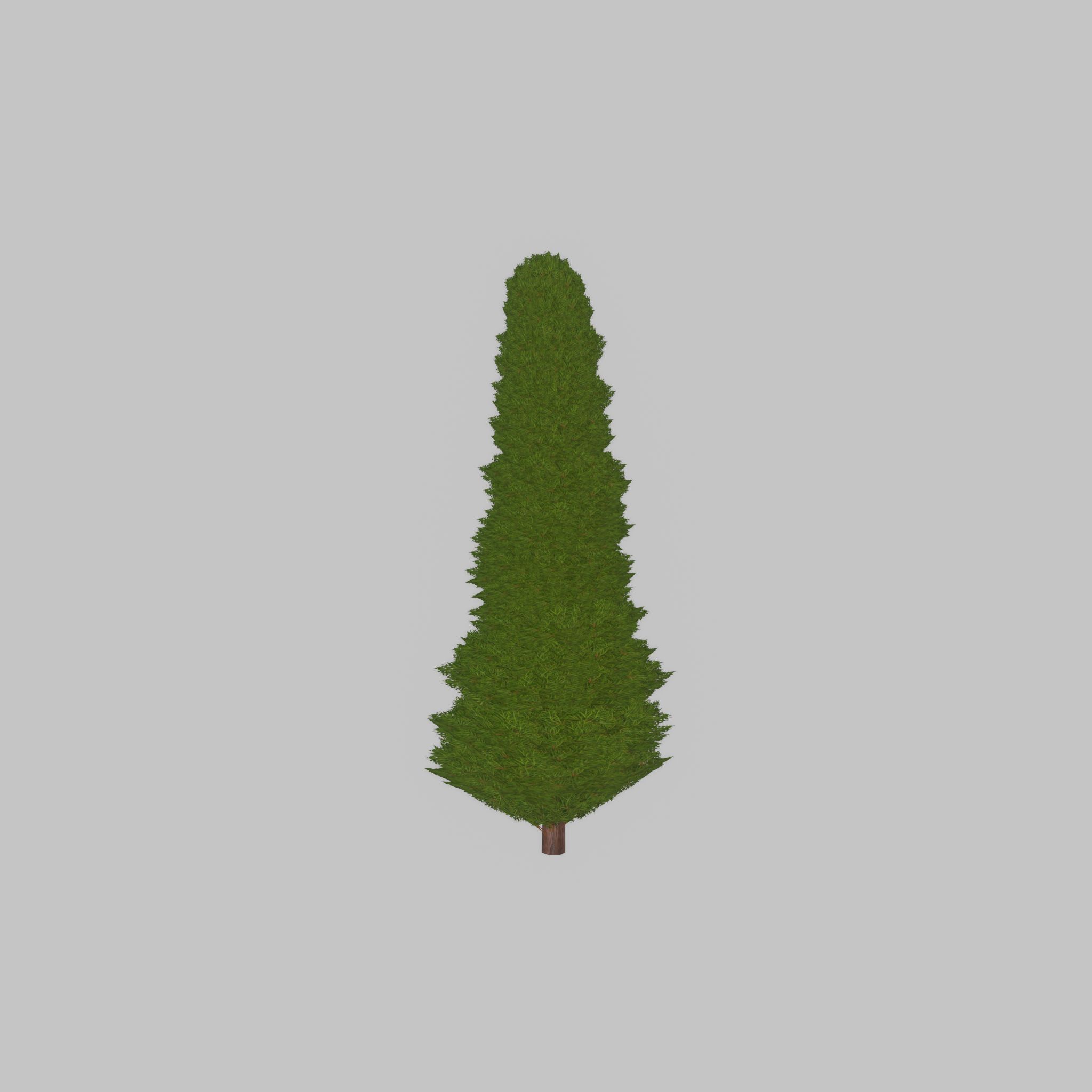 Mock cypress version-3 1000mm Low-poly 3D model_29